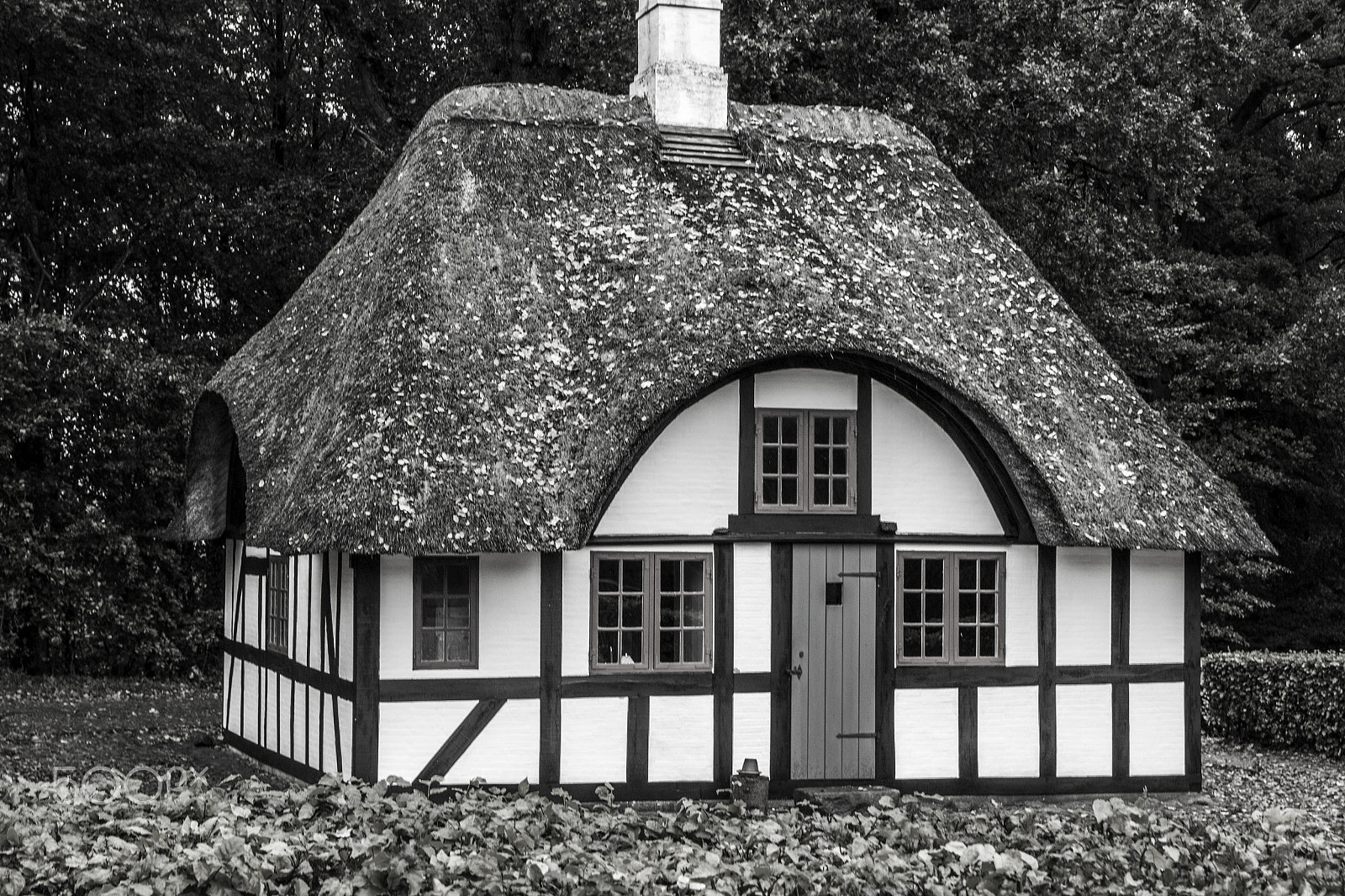 Tamron SP 35mm F1.8 Di VC USD sample photo. Cottage in the woods photography