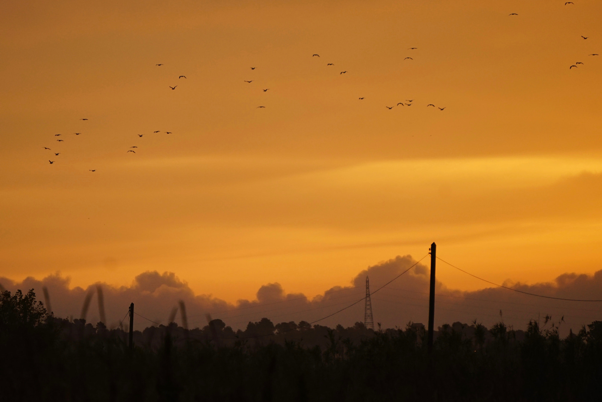 Sony E 55-210mm F4.5-6.3 OSS sample photo. Amanecer con pajaros photography