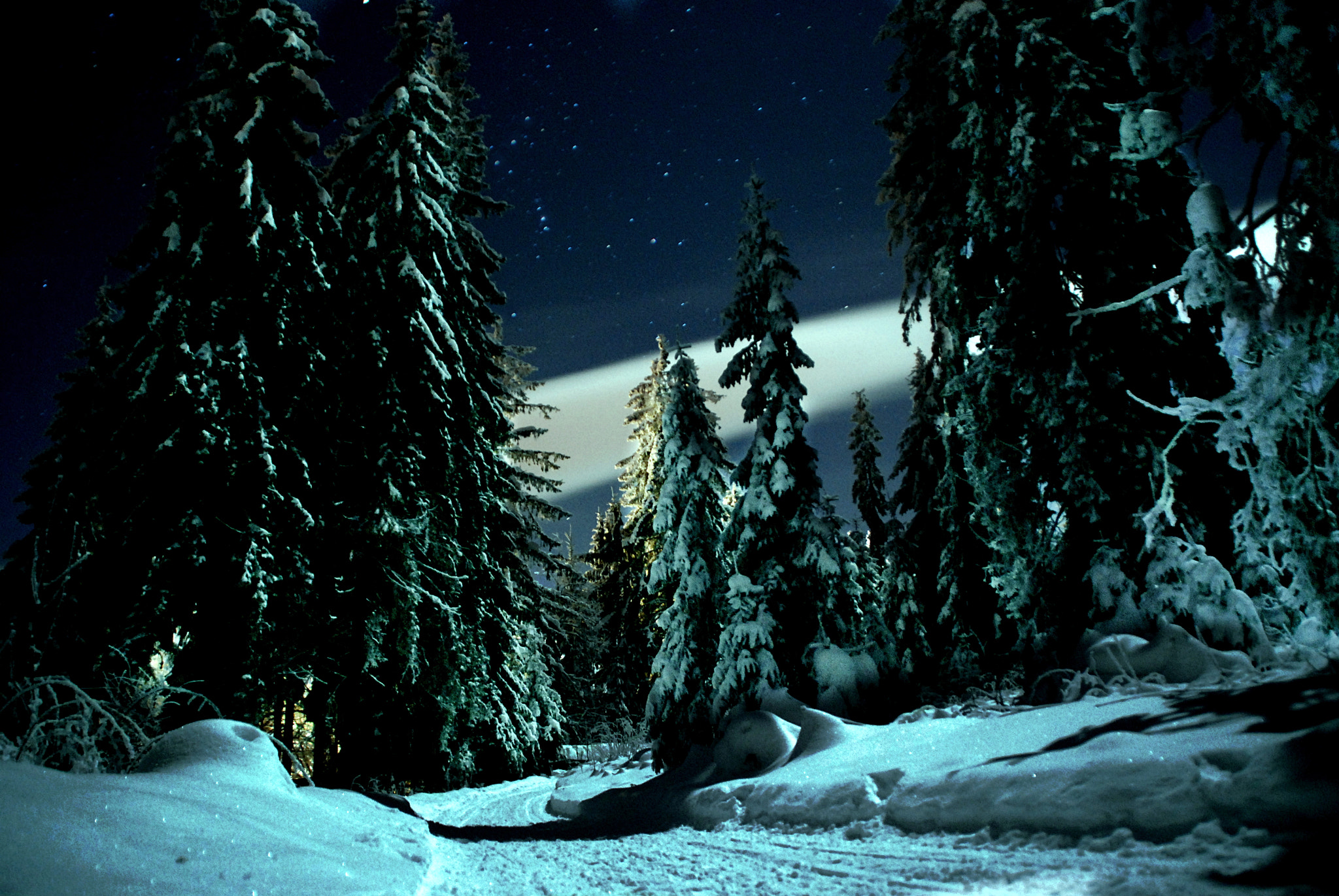 Nikon D80 sample photo. Night road in the snow photography