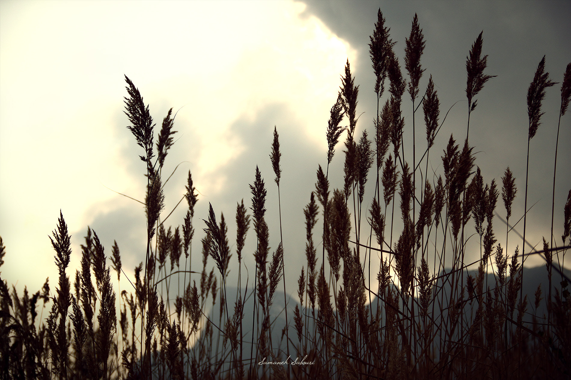Canon EOS 500D (EOS Rebel T1i / EOS Kiss X3) sample photo. Sunset...  photography
