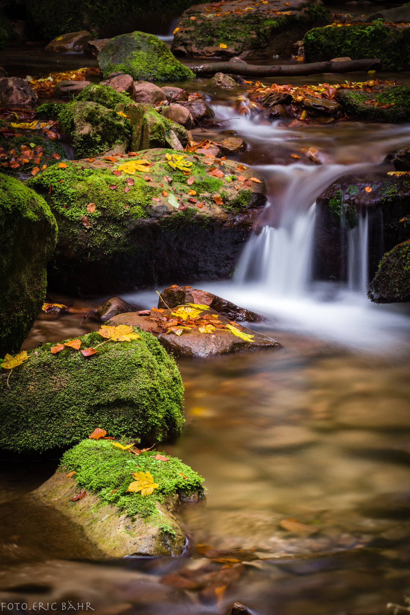 Pentax K-1 sample photo. Herbst photography