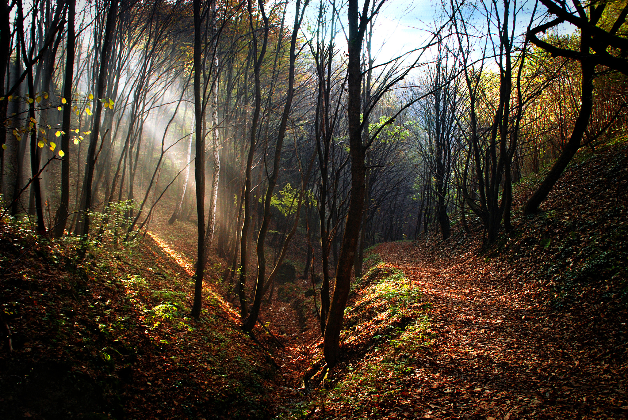 Nikon D80 sample photo. Way to czerna photography