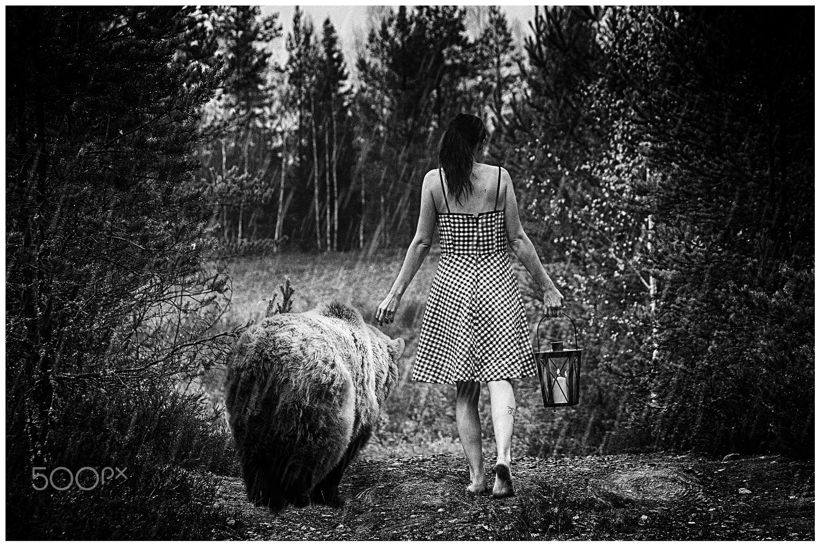 Sigma 50-200mm F4-5.6 DC OS HSM sample photo. Walking with mr bear photography