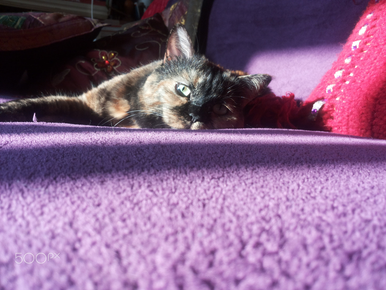 Samsung Galaxy S2 Plus sample photo. Ursula .jpg photography