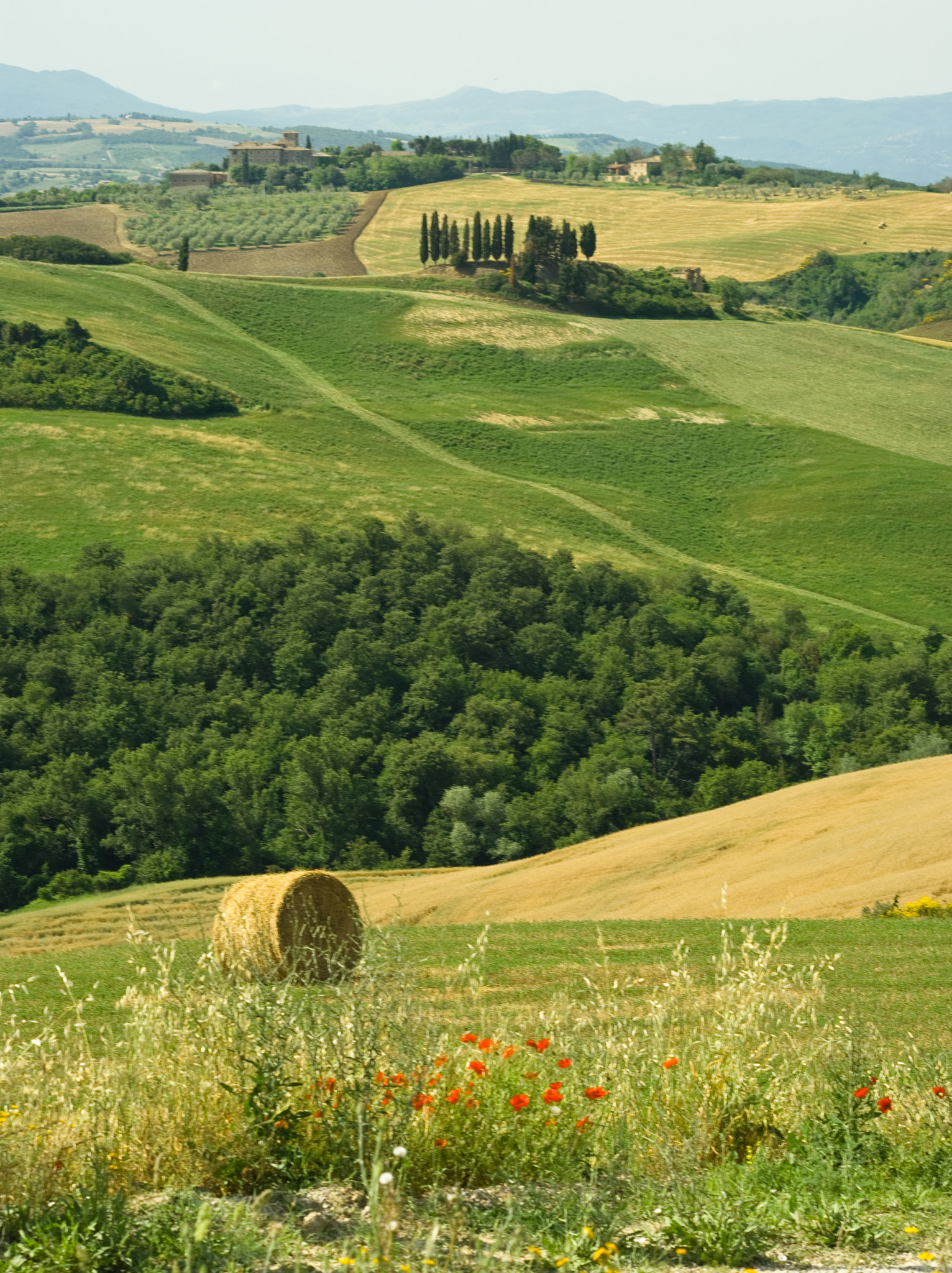 Sigma 70-300mm F4-5.6 APO DG Macro sample photo. Campagna toscana photography