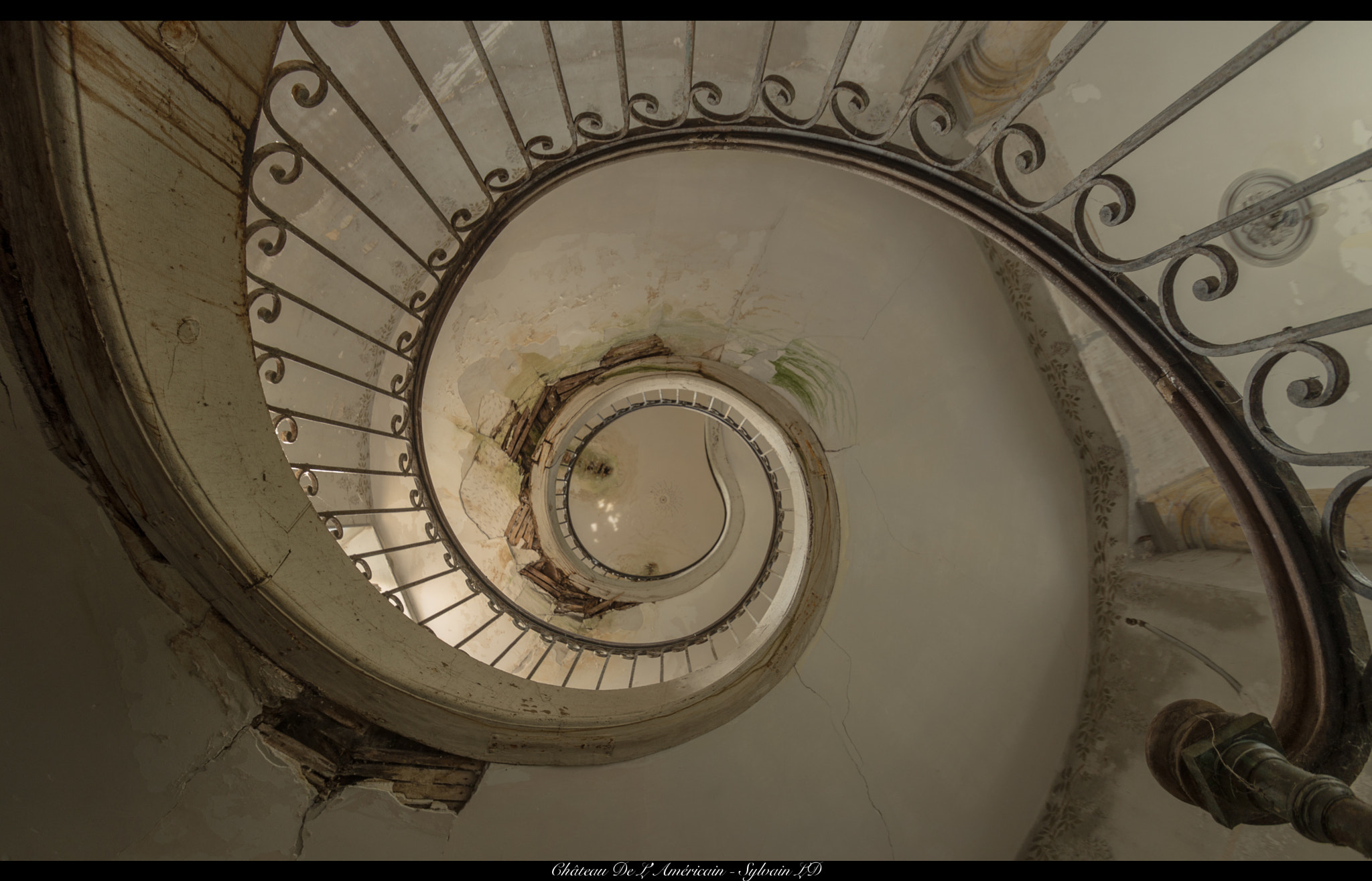 Pentax K-5 II sample photo. Nautile shell photography