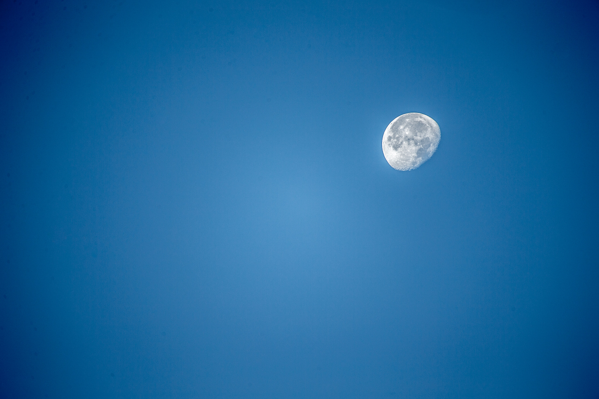 Canon EOS-1D X + Canon EF 100-400mm F4.5-5.6L IS USM sample photo. The moon refusing to set after 8am photography