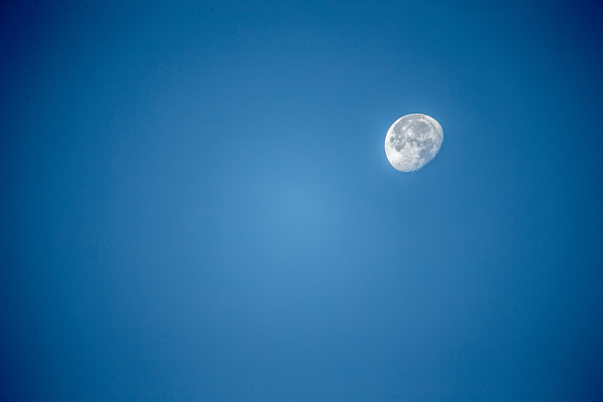 Canon EF 100-400mm F4.5-5.6L IS USM sample photo. The moon refusing to set after 8am photography