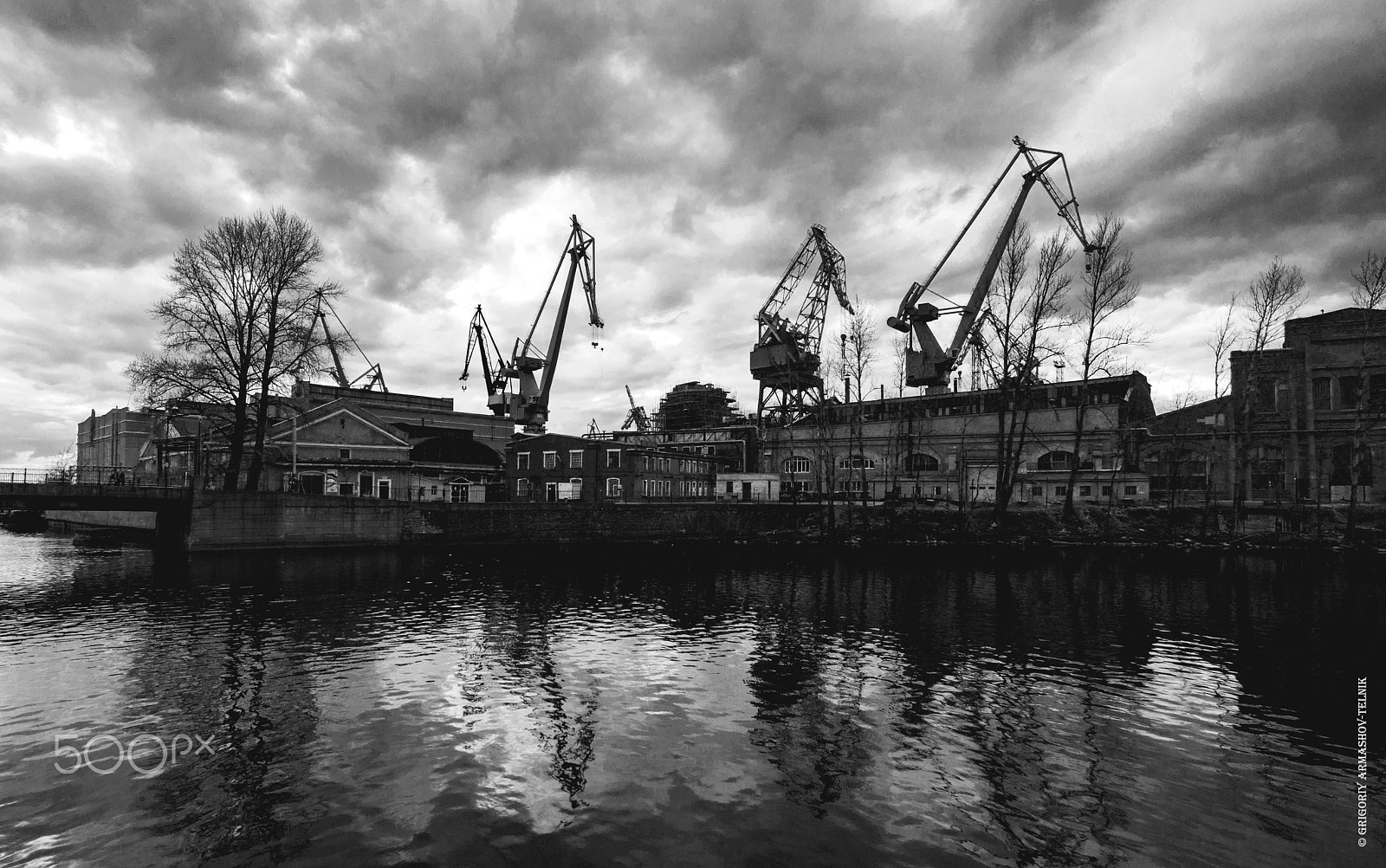 Tokina AT-X Pro 11-16mm F2.8 DX sample photo. Cranes photography