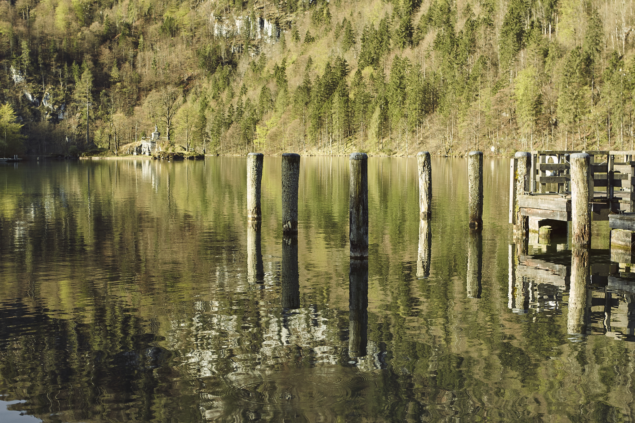 Canon EOS-1D Mark IV sample photo. 2016 | 04 | koenigssee | piles photography