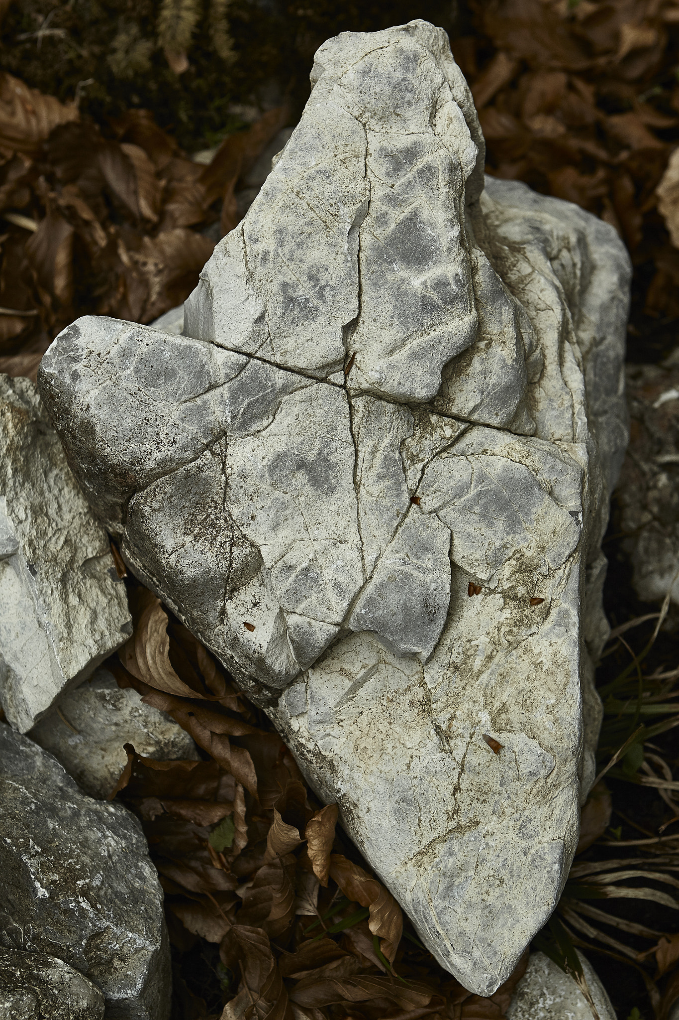 Canon EOS-1D Mark IV sample photo. 2016 | 04 | koenigssee | stone axe photography