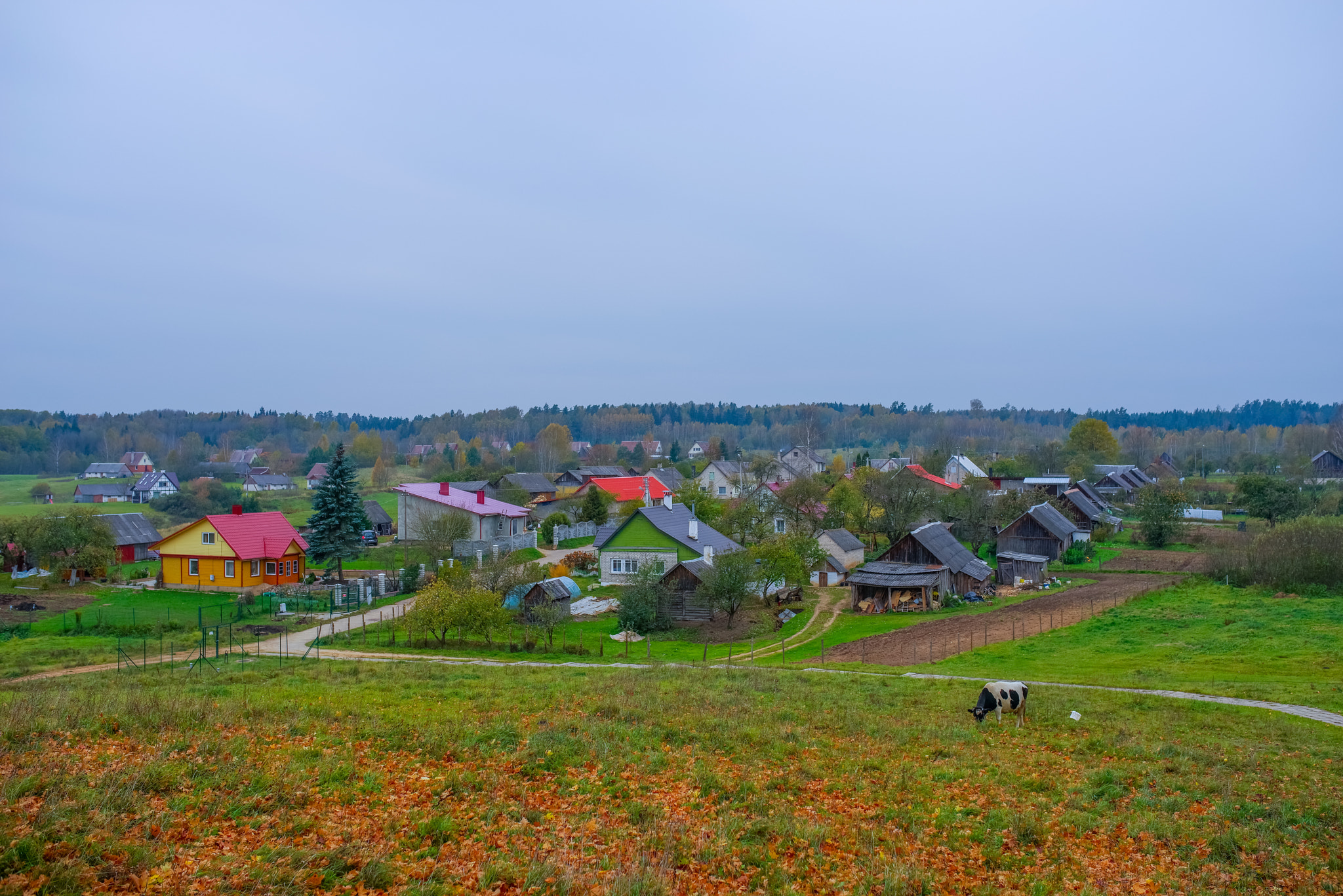 Pentax K-1 + Sigma 35mm F1.4 DG HSM Art sample photo. Autumn in lithuania photography