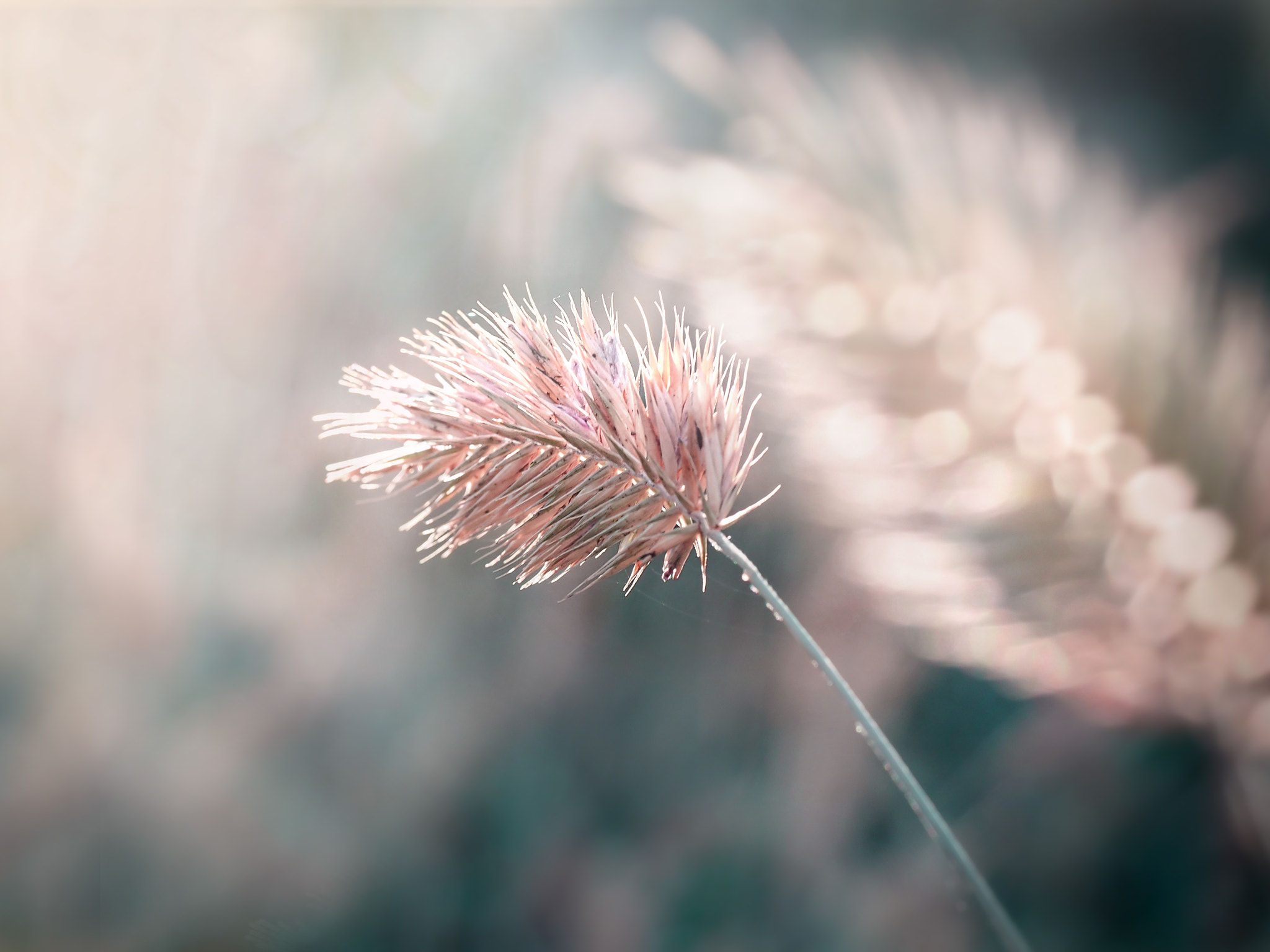 Olympus PEN E-PM2 sample photo. Light dancer photography