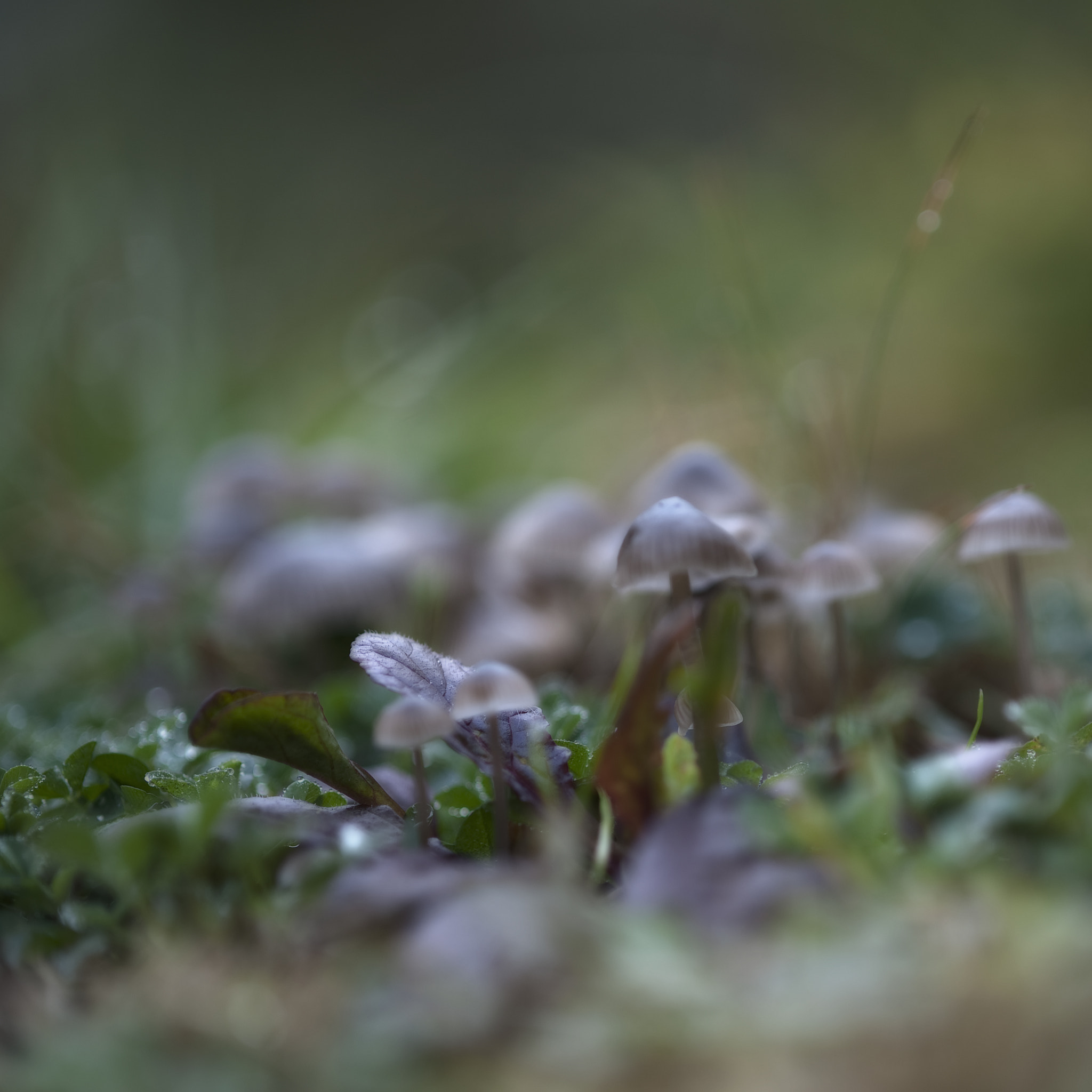 Nikon D3 sample photo