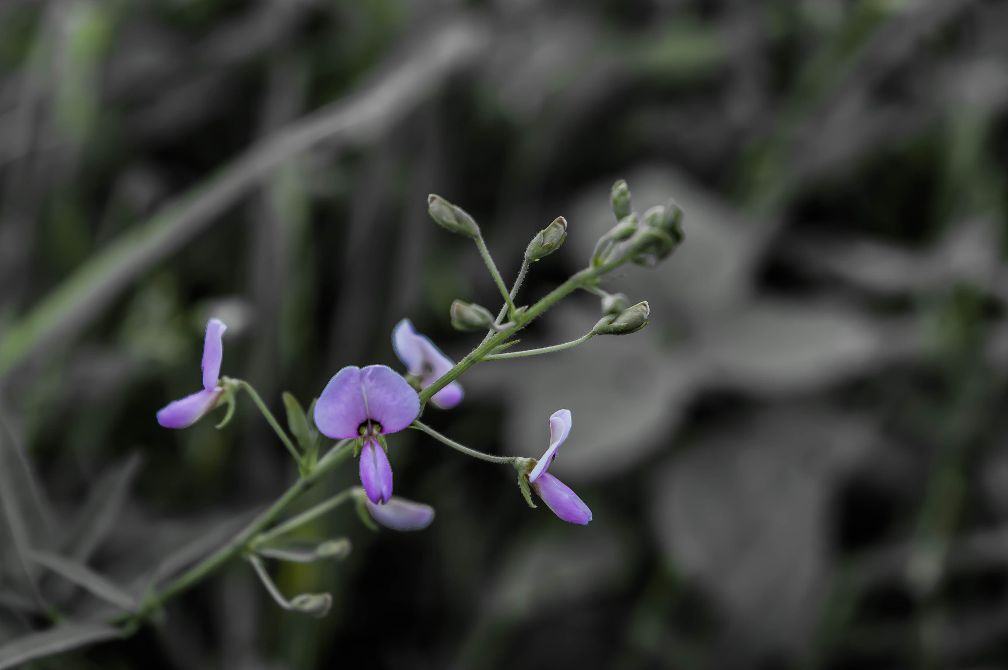 Pentax K20D sample photo