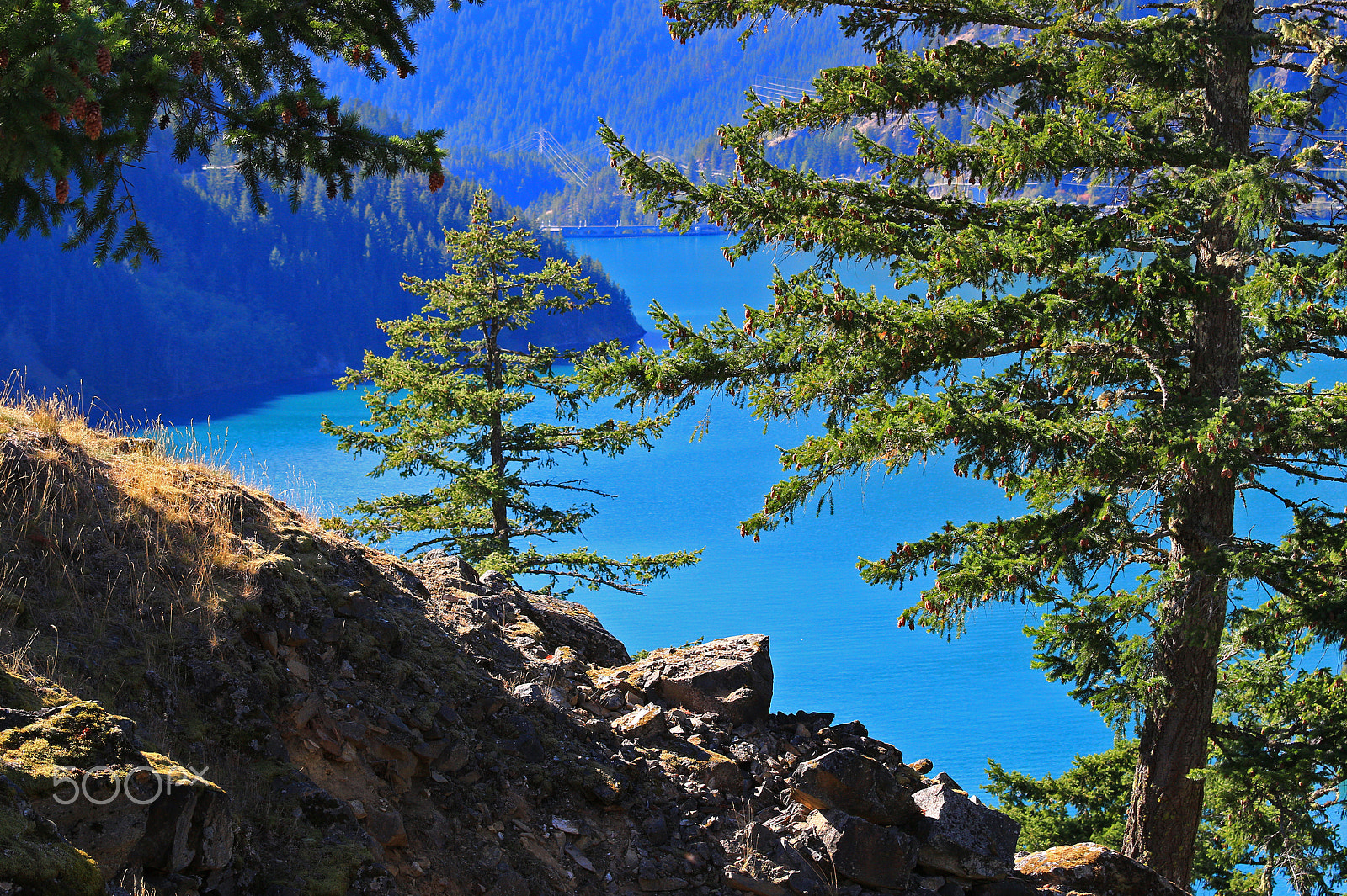 Canon EF 70-200mm F4L IS USM sample photo. Though the trees, diablo lake -washington state photography