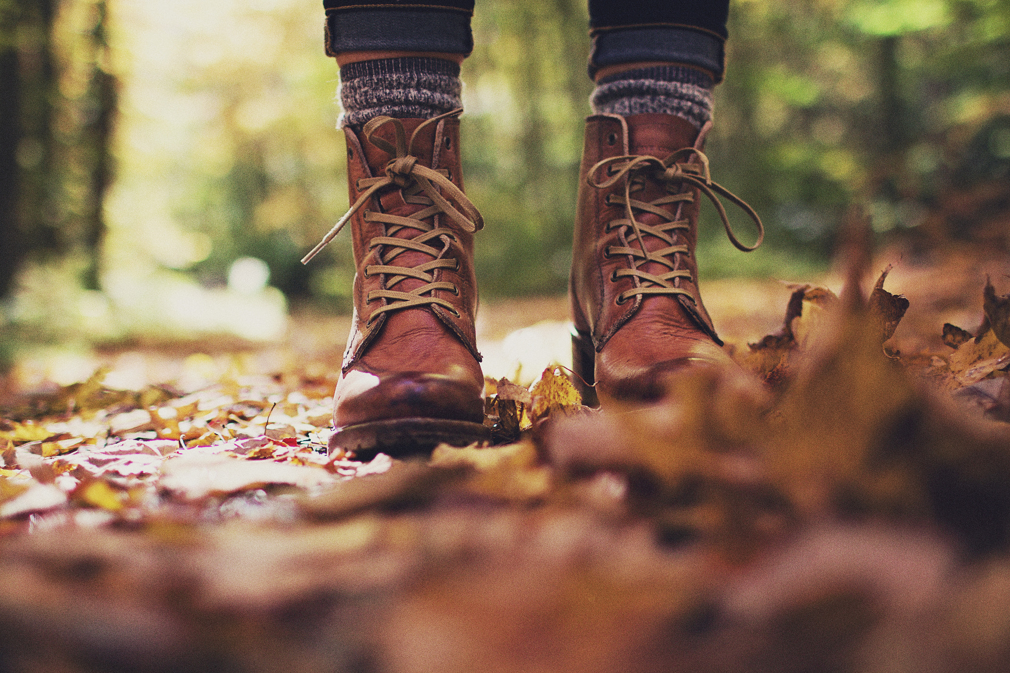 Canon EOS 70D + Canon EF 35mm F1.4L USM sample photo. A walk through the forest photography