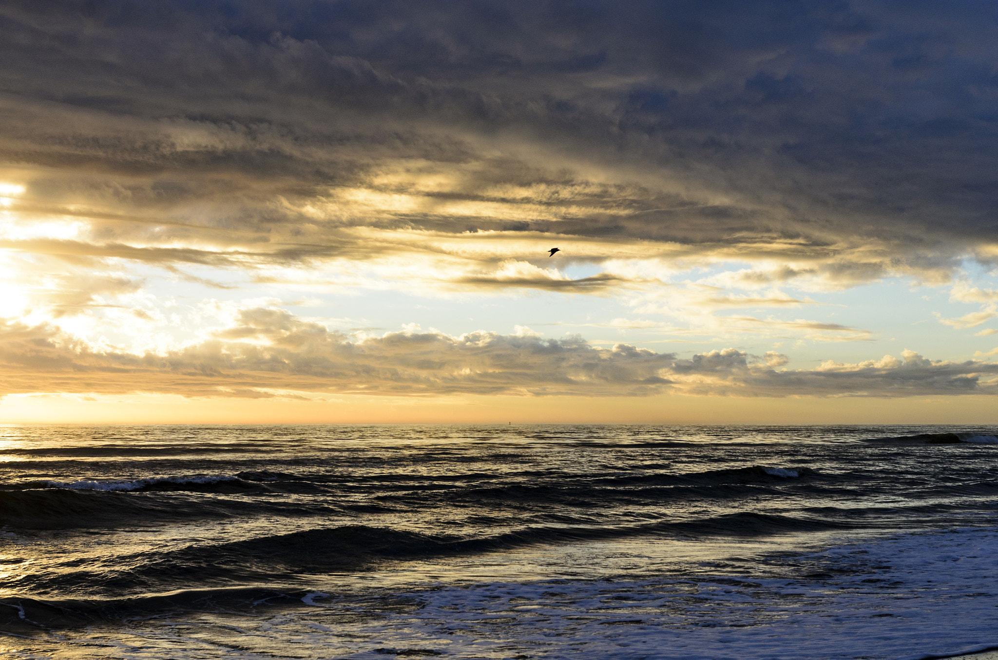 Nikon D7000 + Sigma 35mm F1.4 DG HSM Art sample photo. Good morning virginia beach photography