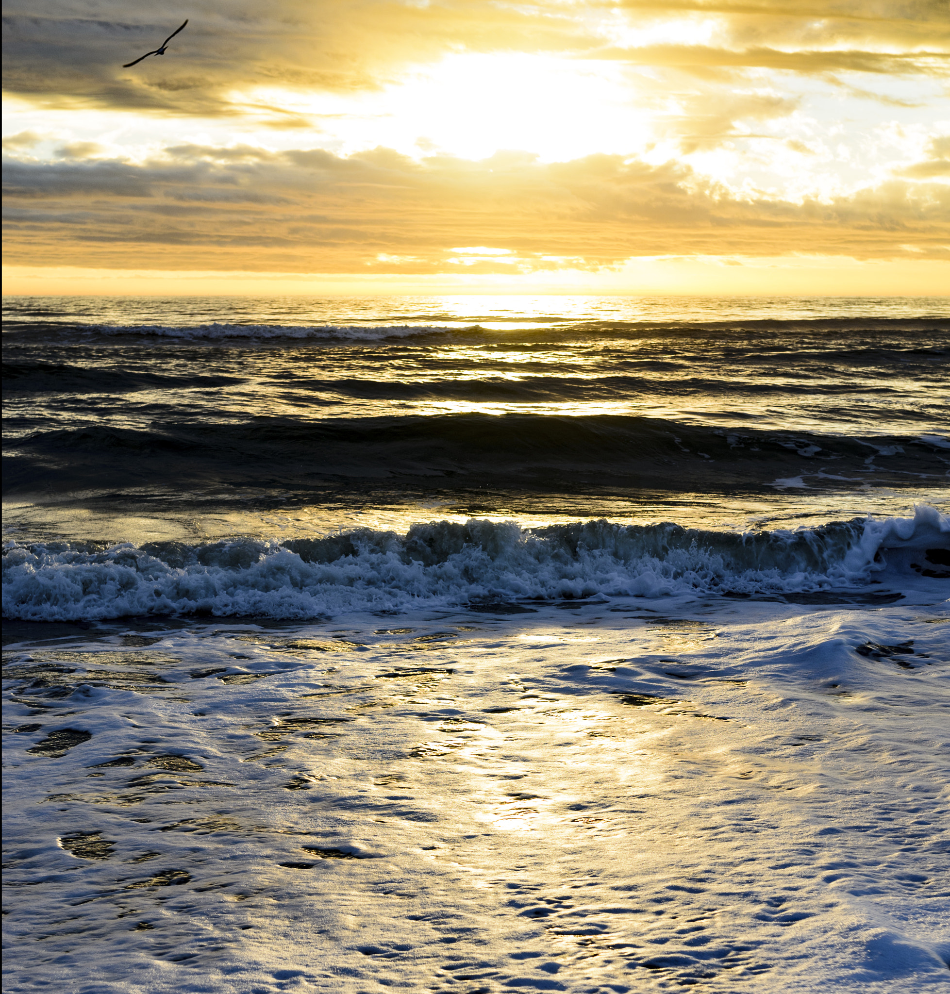 Nikon D7000 + Sigma 35mm F1.4 DG HSM Art sample photo. Good morning virginia beach photography