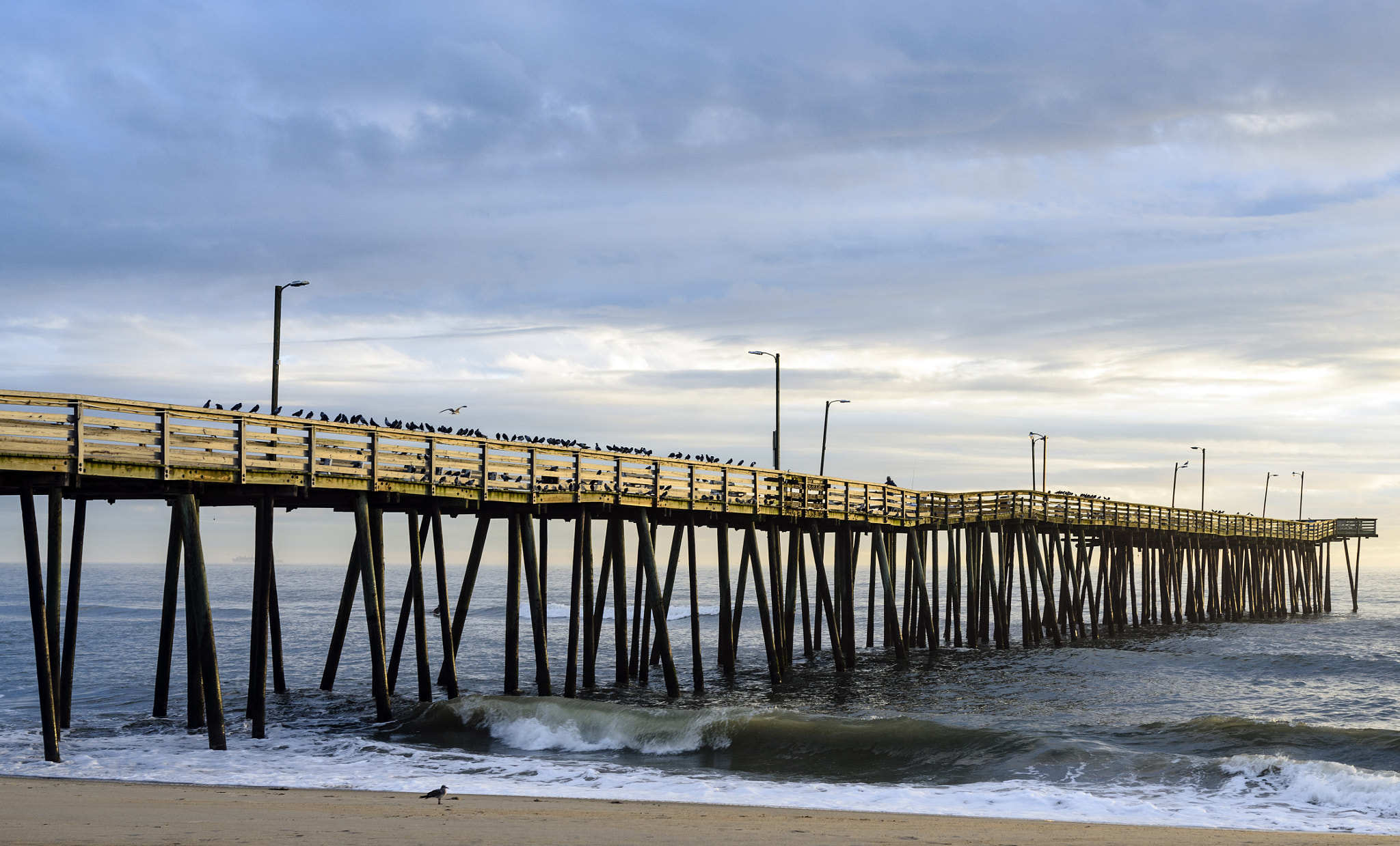 Nikon D7000 + Sigma 35mm F1.4 DG HSM Art sample photo. Good morning virginia beach photography