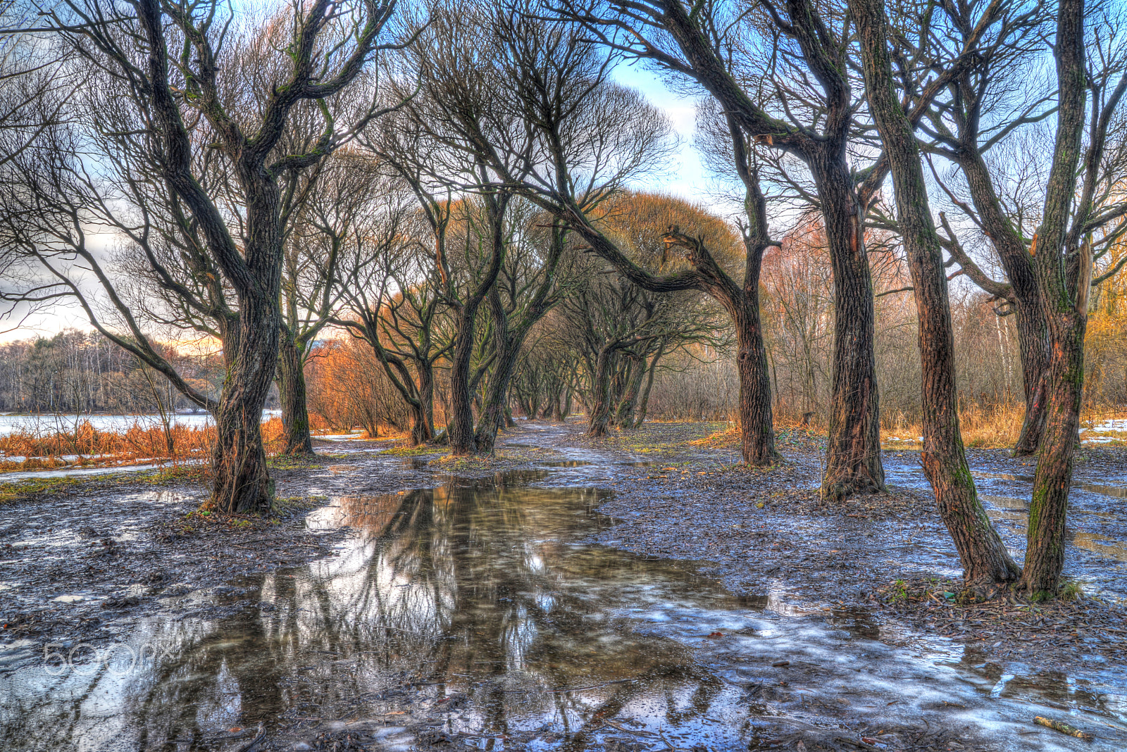 Nikon D600 sample photo. Day of reflections... photography