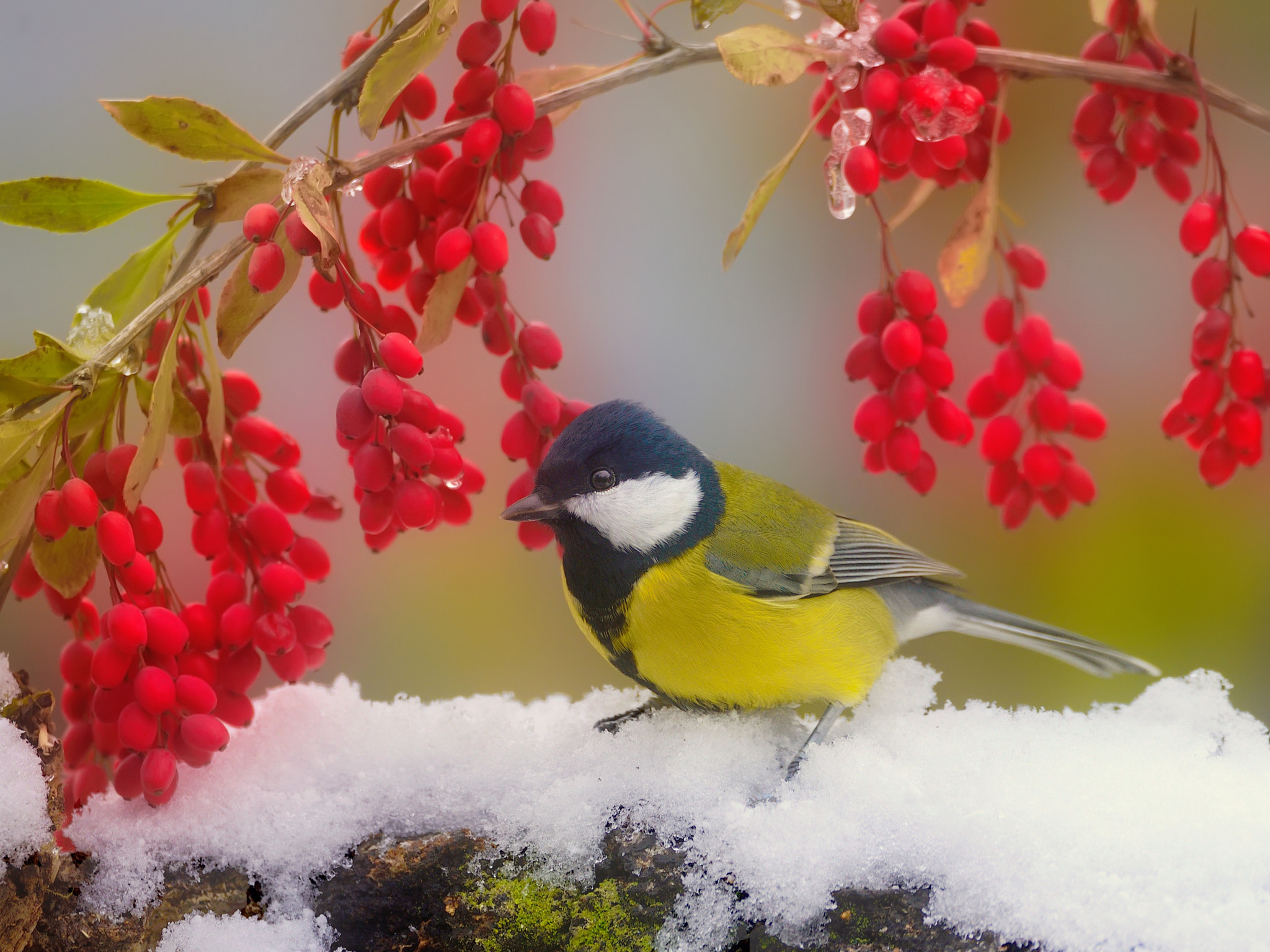 Sigma 150-600mm F5-6.3 DG OS HSM | S sample photo. Не бабье лето photography