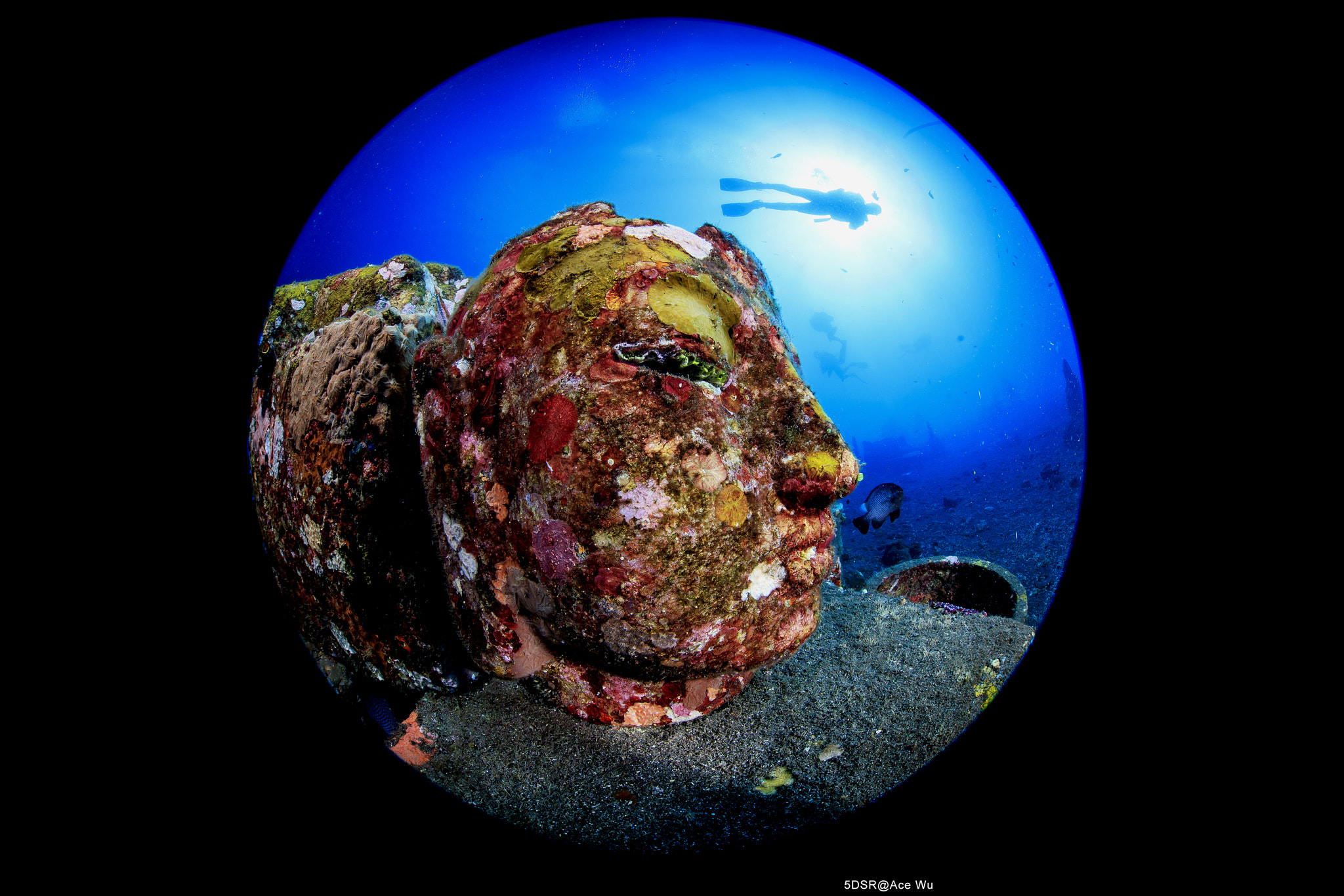 Canon EF 8-15mm F4L Fisheye USM sample photo. Buddha photography