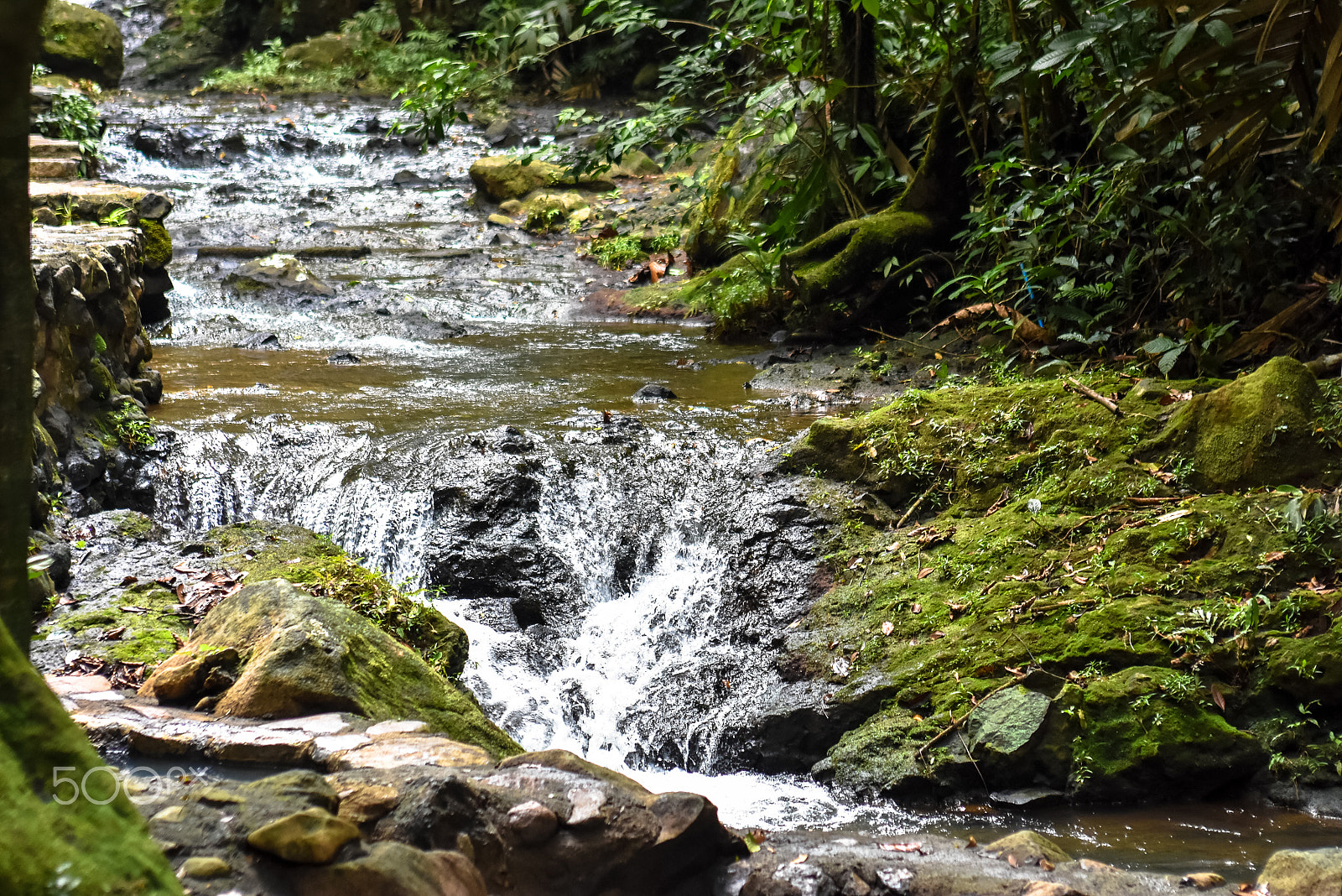 Nikon D7200 + AF Zoom-Nikkor 35-70mm f/2.8D sample photo. Nature @ costa rica photography