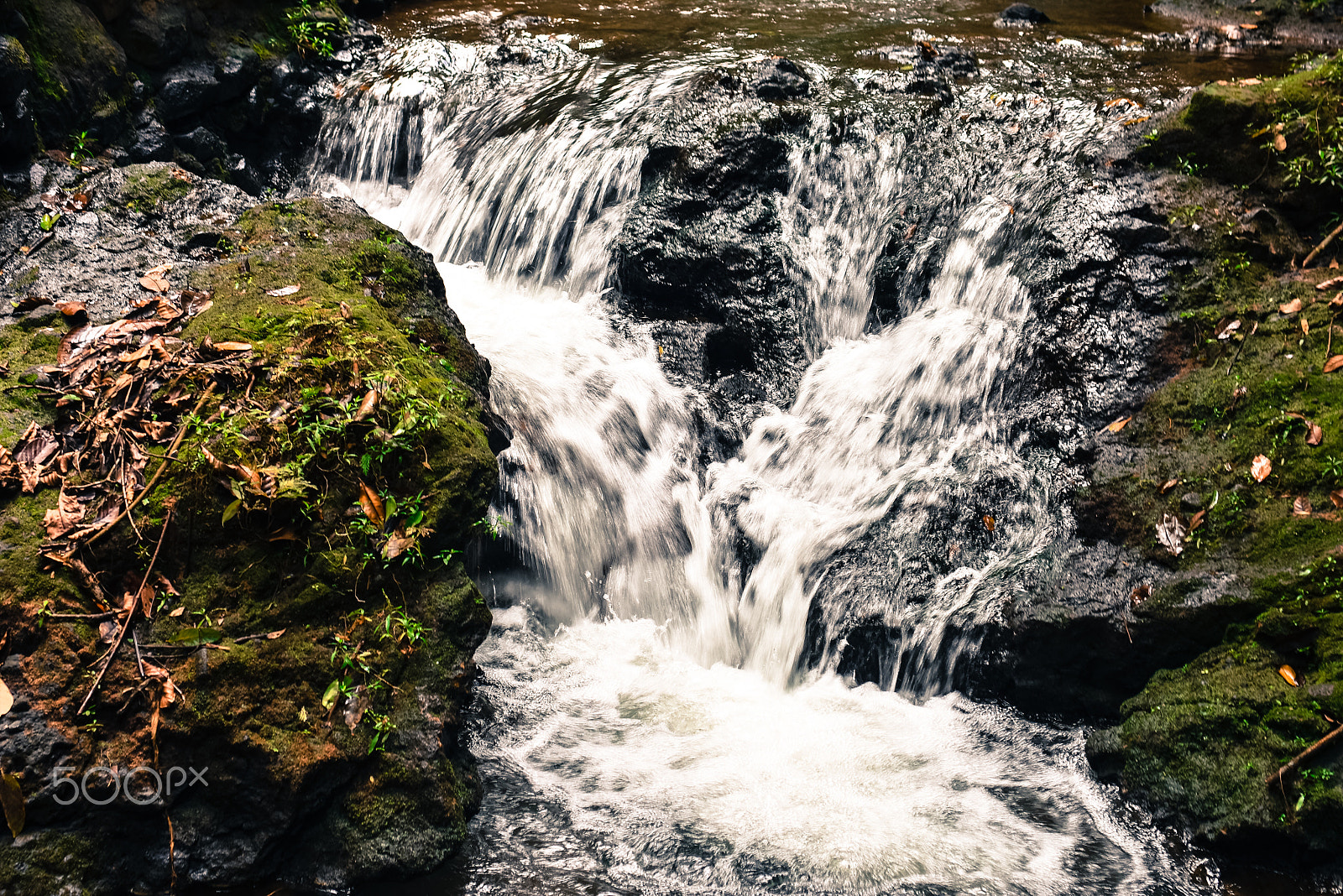 Nikon D7200 + AF Zoom-Nikkor 35-70mm f/2.8D sample photo. Nature @ costa rica photography