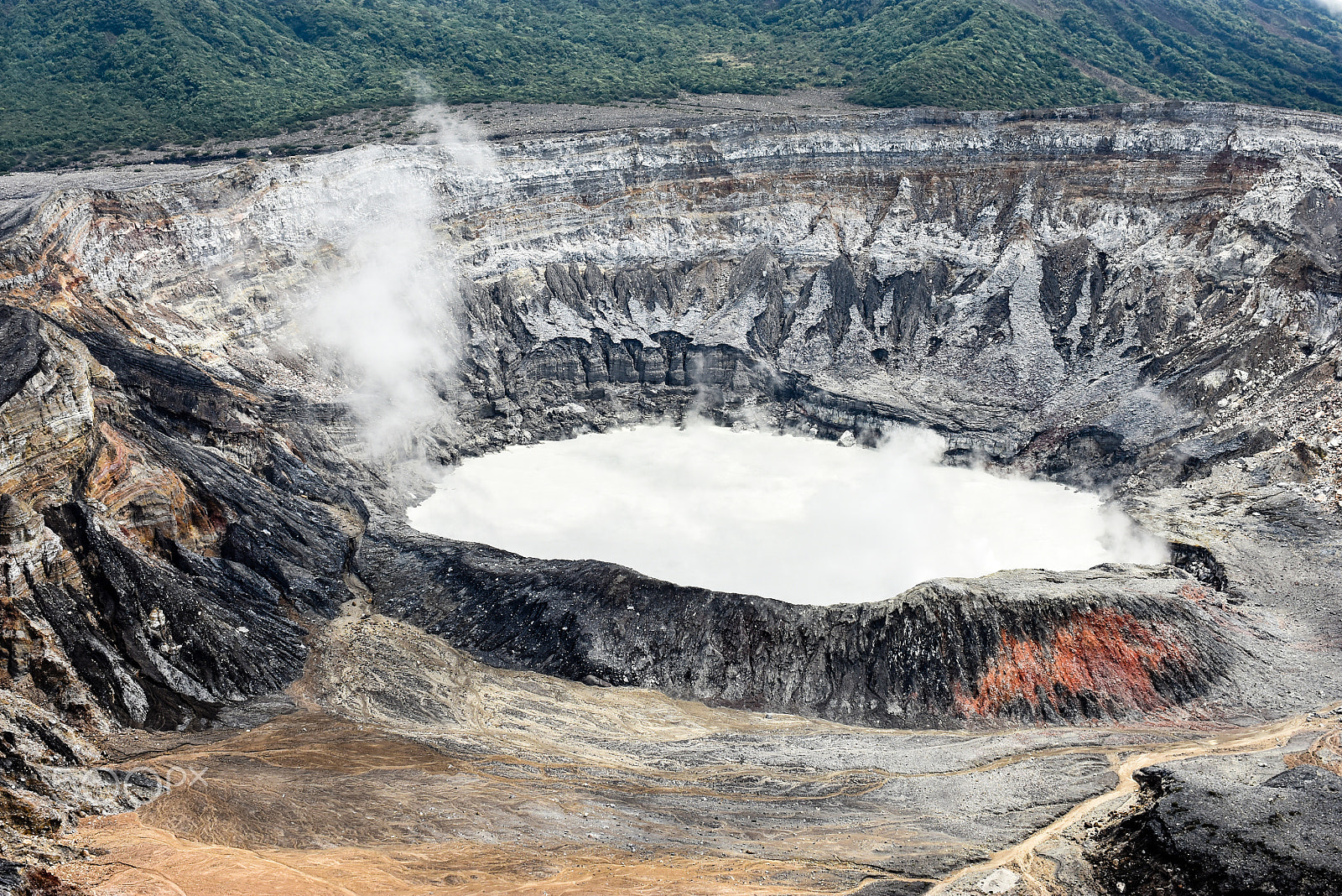 Nikon D7200 + AF Zoom-Nikkor 35-70mm f/2.8D sample photo. Nature @ costa rica photography