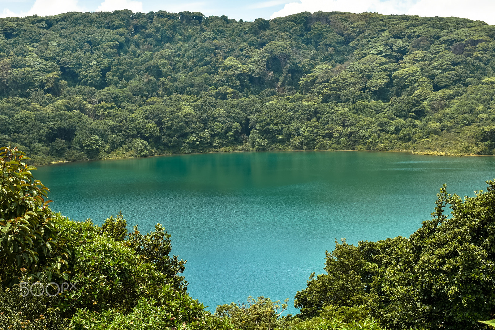 Nikon D7200 + AF Zoom-Nikkor 35-70mm f/2.8D sample photo. Nature @ costa rica photography