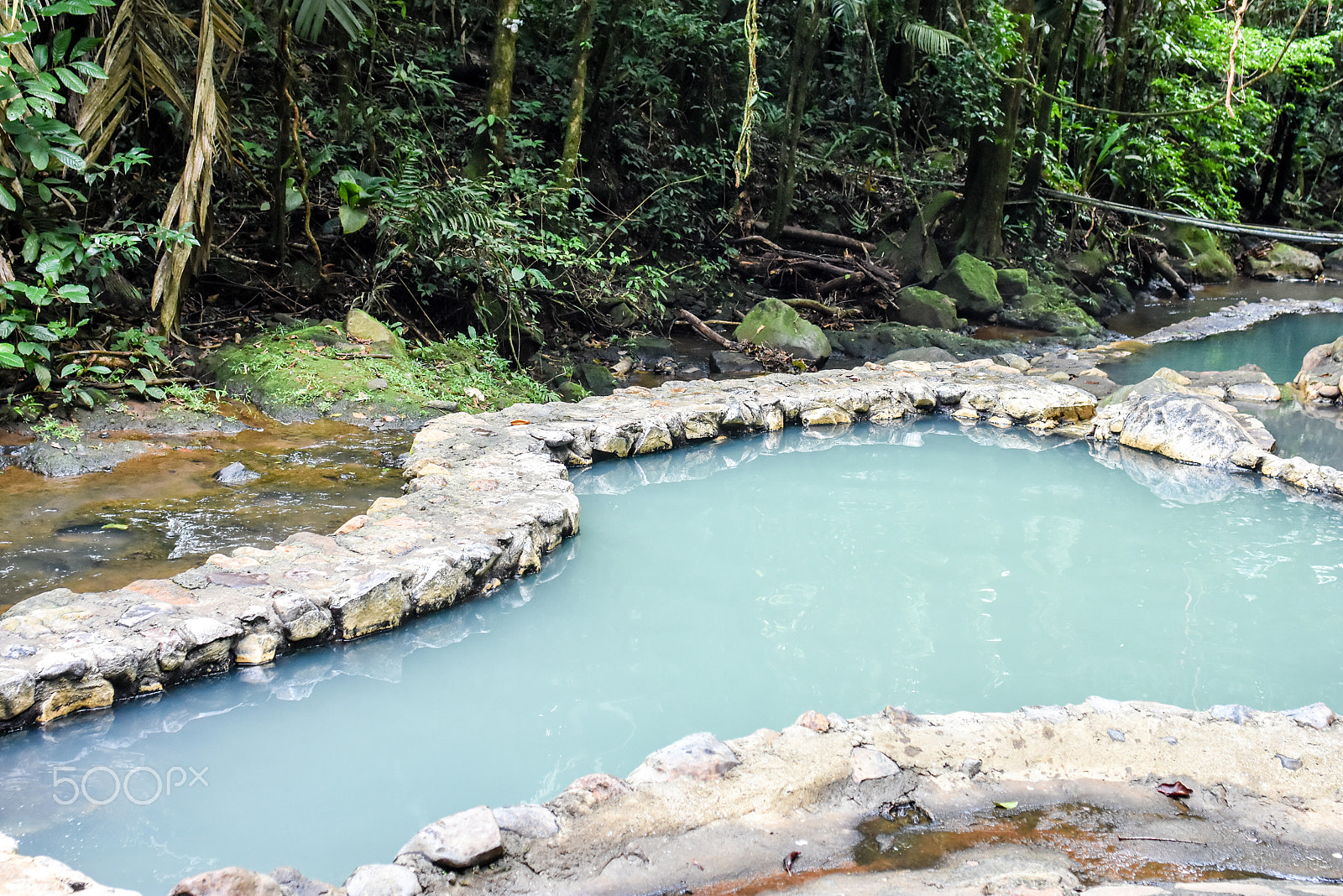 Nikon D7200 + AF Zoom-Nikkor 35-70mm f/2.8D sample photo. Nature @ costa rica photography