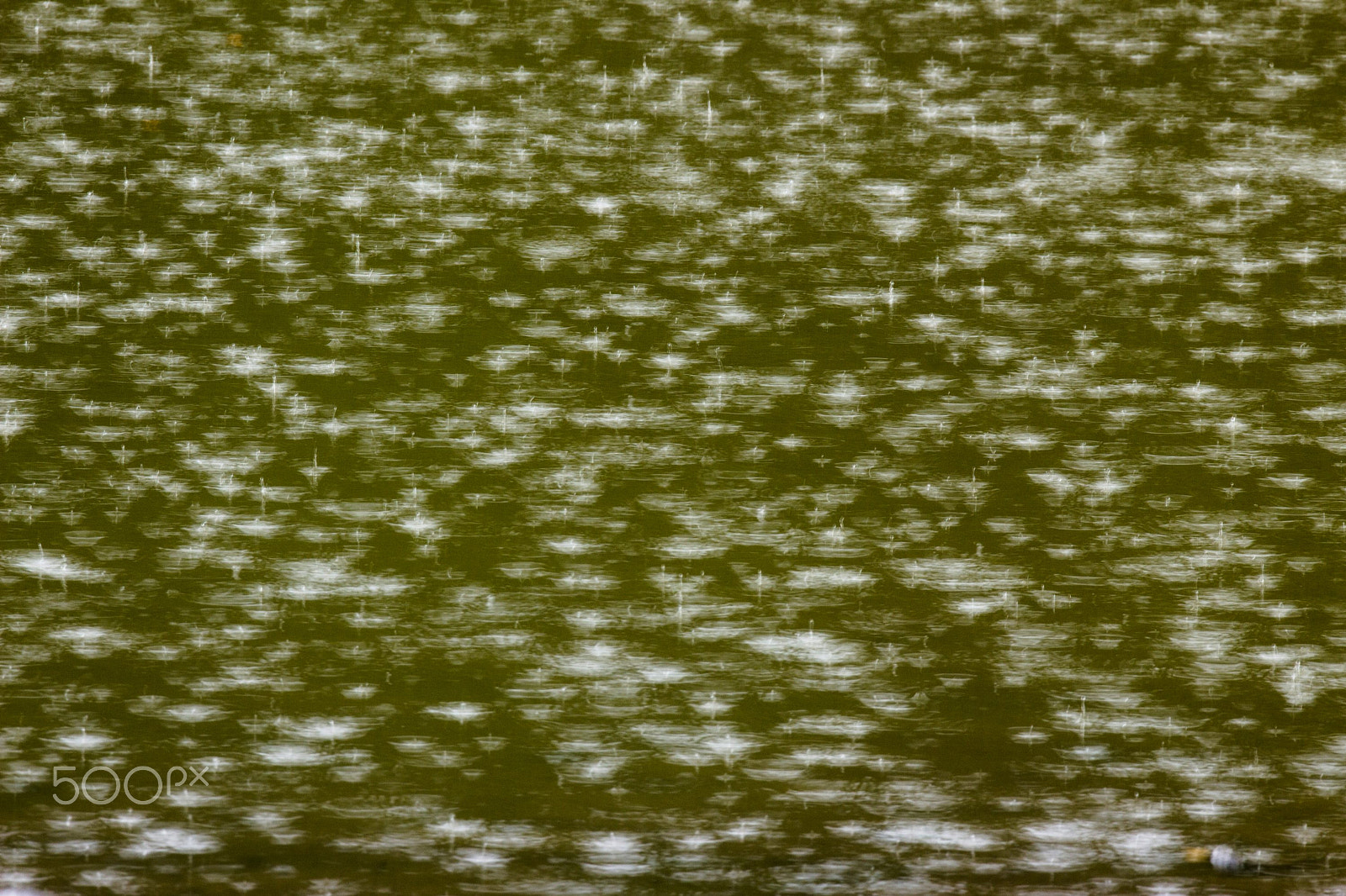Sigma 120-300mm F2.8 EX DG HSM sample photo. Rain photography