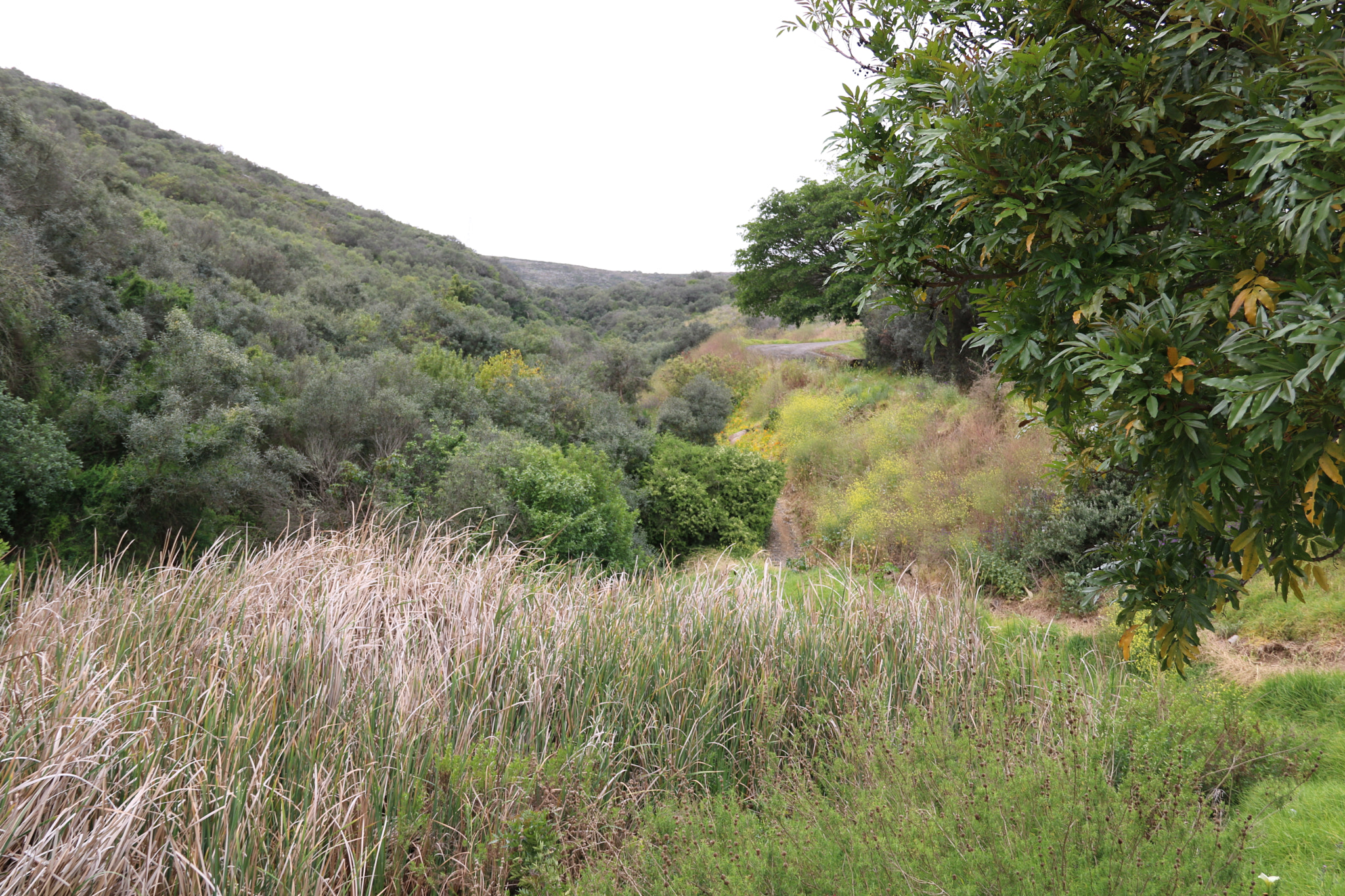 Canon EOS 750D (EOS Rebel T6i / EOS Kiss X8i) sample photo. Beautiful wilderness photography