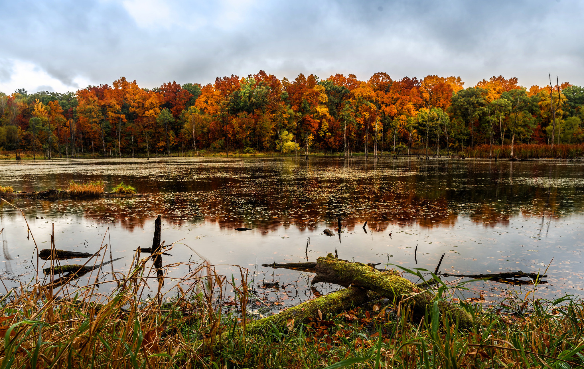 Nikon D750 + Nikon AF-S Nikkor 200-400mm F4G ED-IF VR sample photo. Hidden lake at pontiac lake state park. waterford, mi. photography