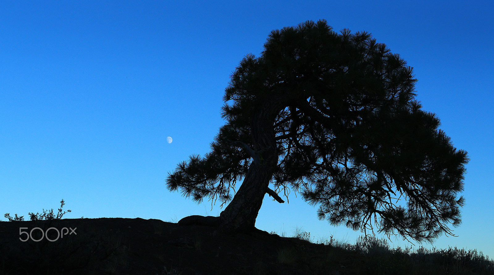 Canon EOS 700D (EOS Rebel T5i / EOS Kiss X7i) + Canon EF 17-40mm F4L USM sample photo. Moonrise photography