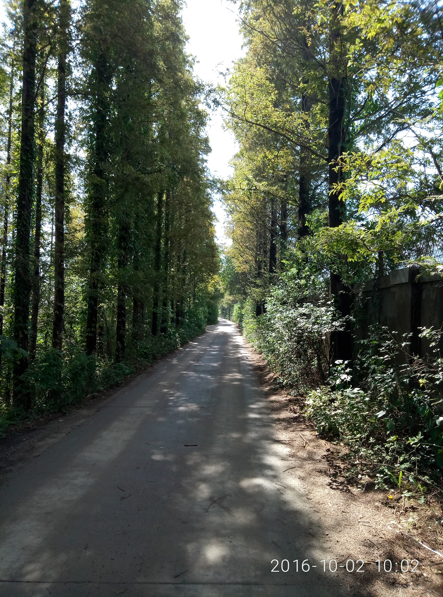 Meizu M1 E sample photo. 心路 photography