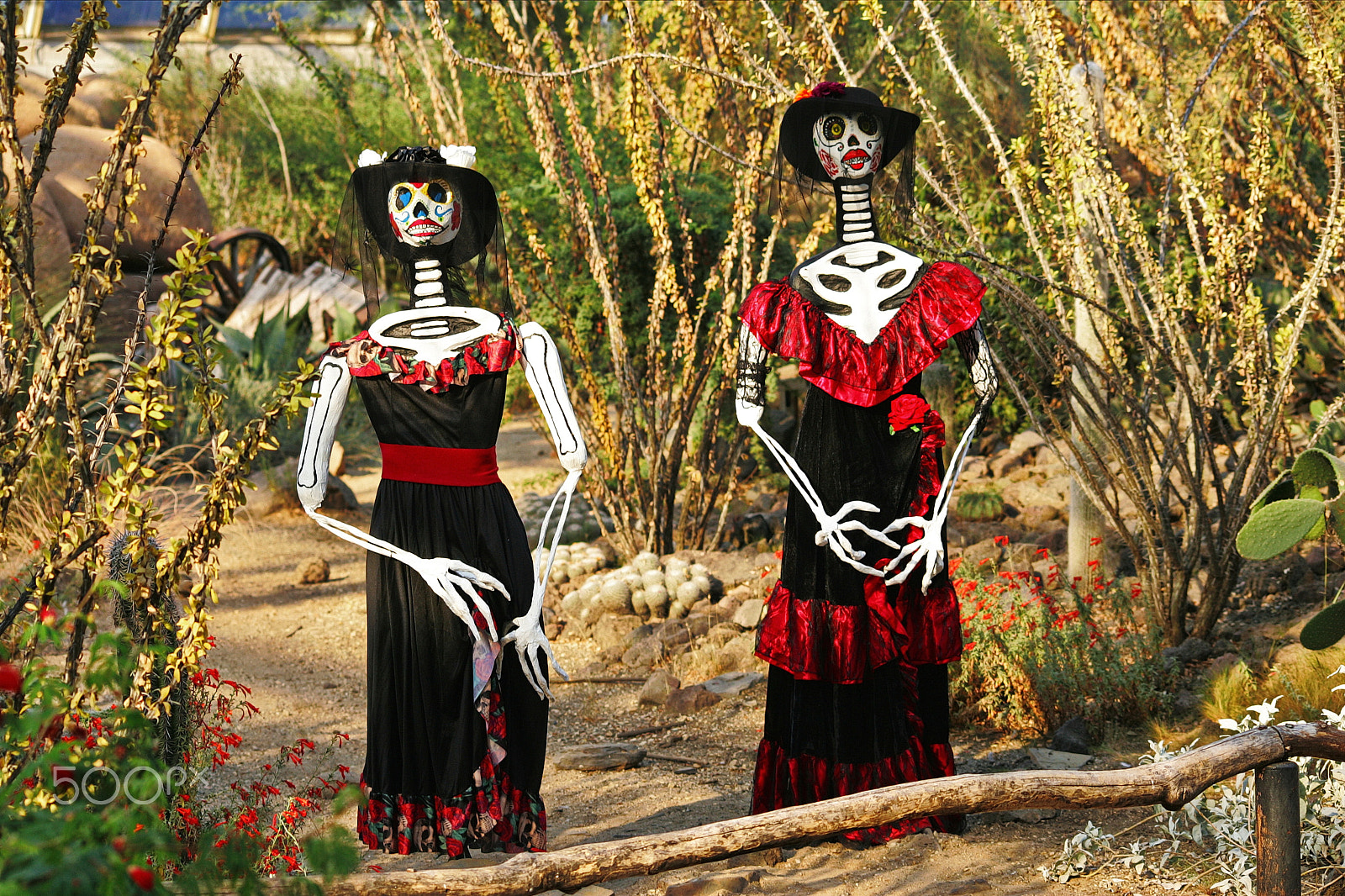 Canon EOS-1D Mark II sample photo. Dia de los muertos photography