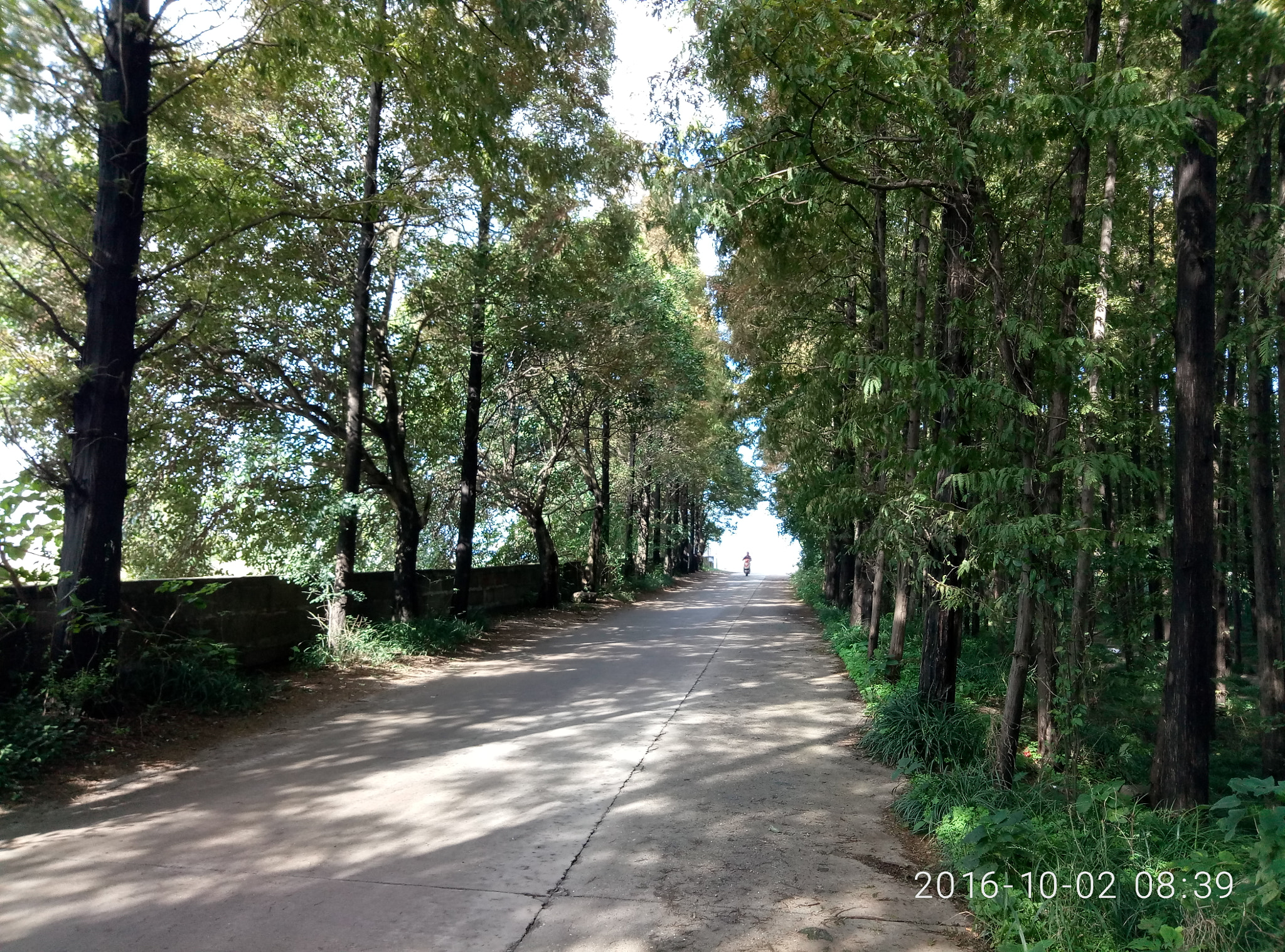 Meizu M1 E sample photo