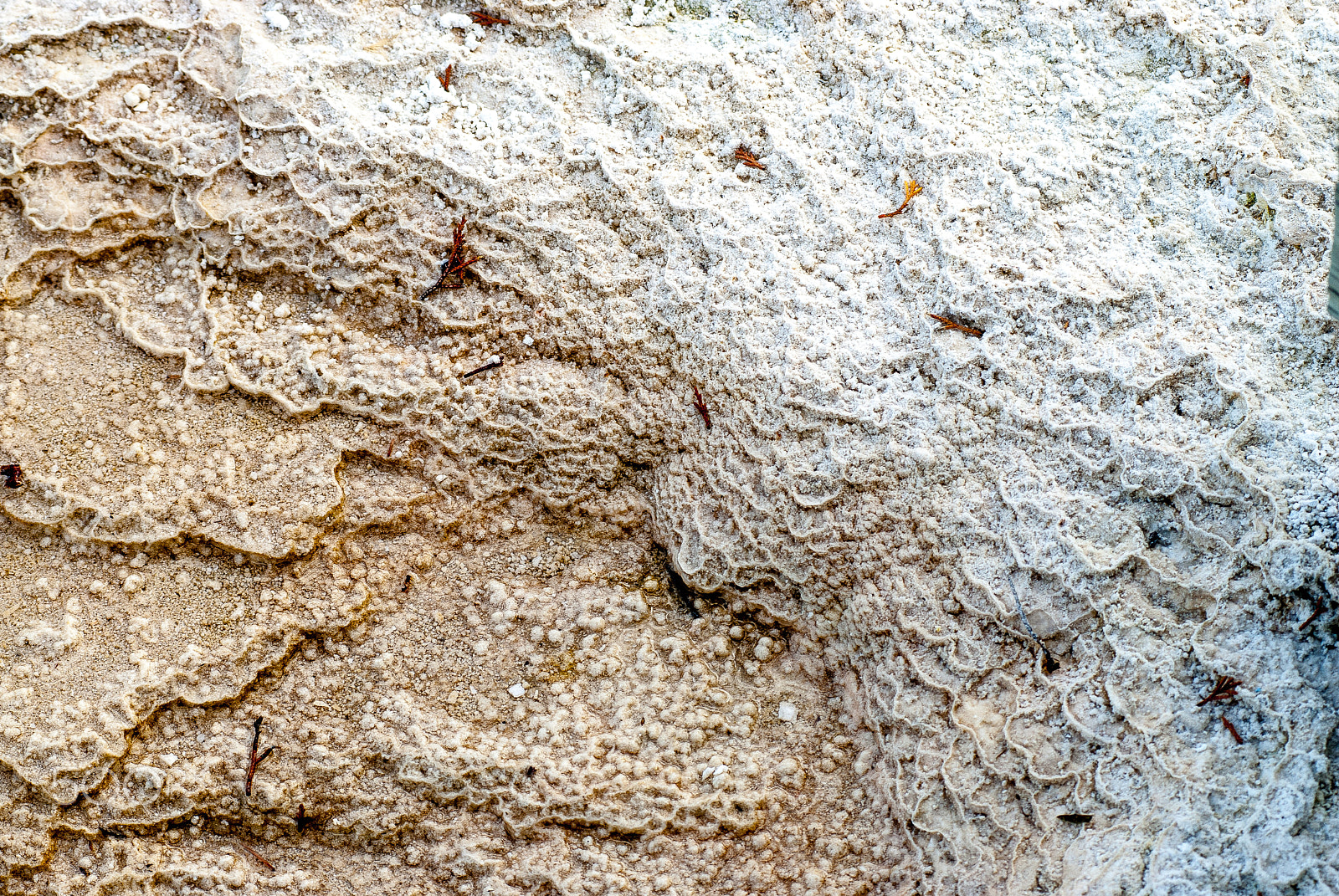 AF Zoom-Nikkor 80-200mm f/2.8 ED sample photo. Mammoth hot springs mineral deposition texture photography