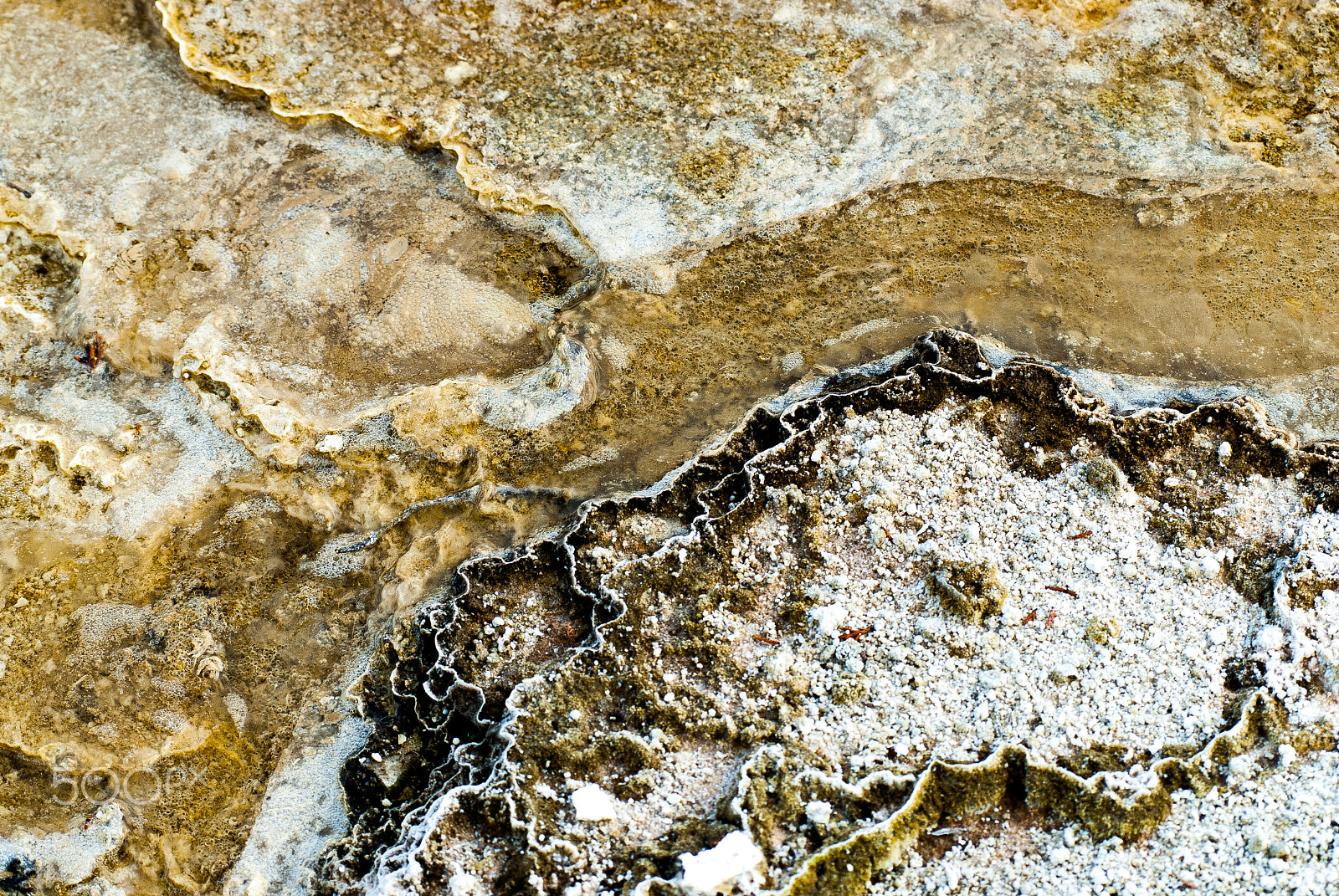 AF Zoom-Nikkor 80-200mm f/2.8 ED sample photo. Mammoth hot springs mineral deposition texture photography