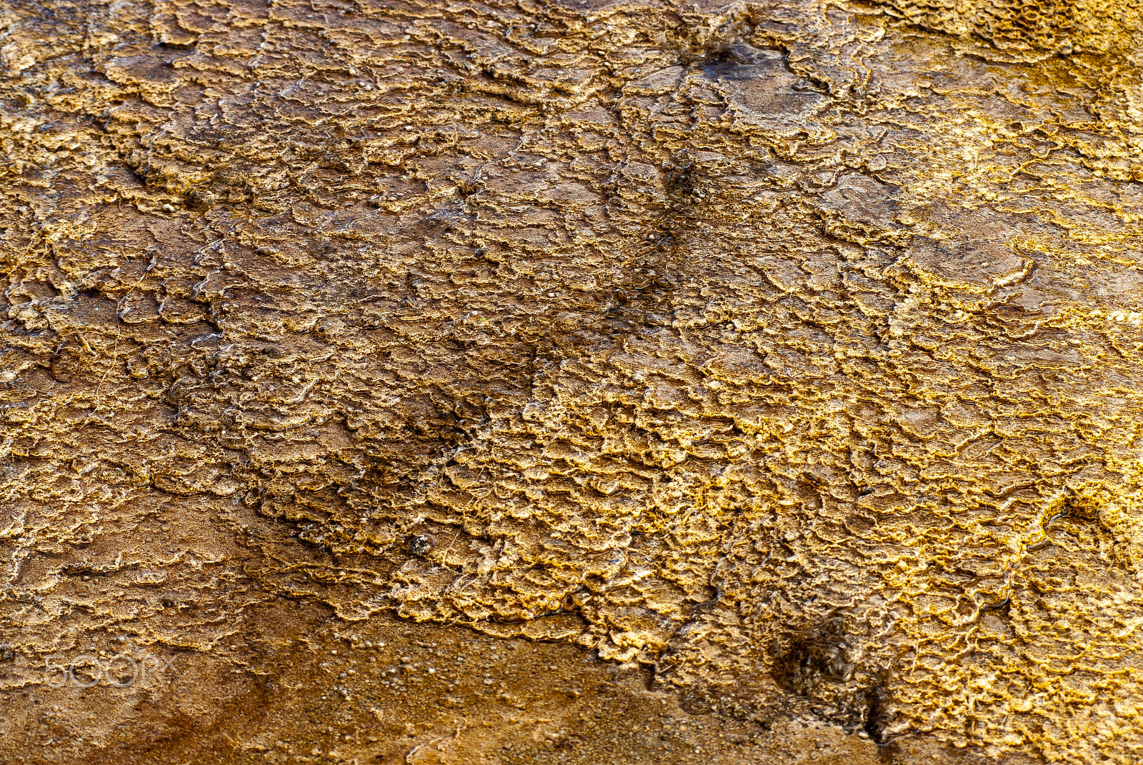 AF Zoom-Nikkor 80-200mm f/2.8 ED sample photo. Mammoth hot springs mineral deposition texture photography
