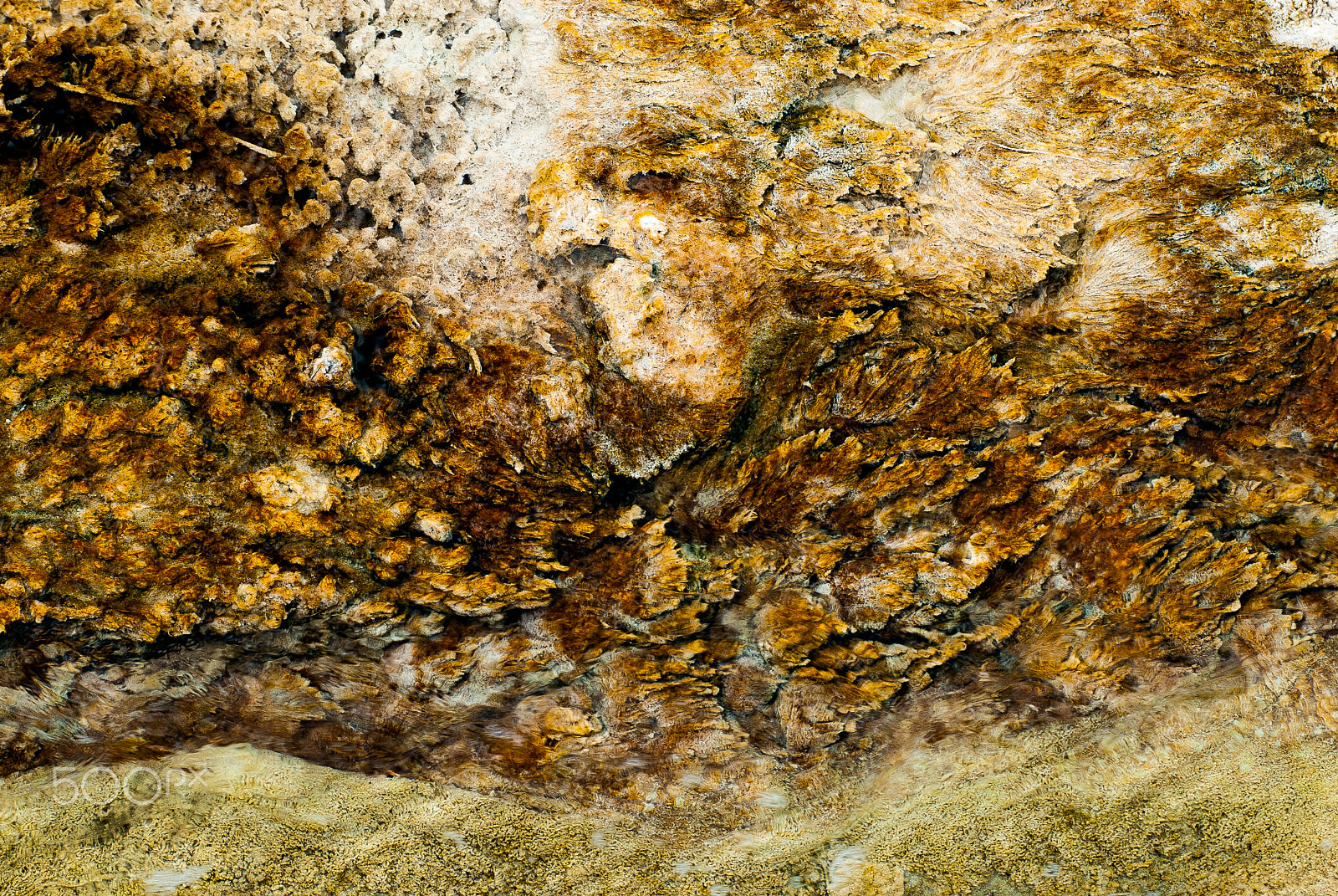 Nikon D200 + AF Zoom-Nikkor 80-200mm f/2.8 ED sample photo. Mammoth hot springs mineral deposition texture photography