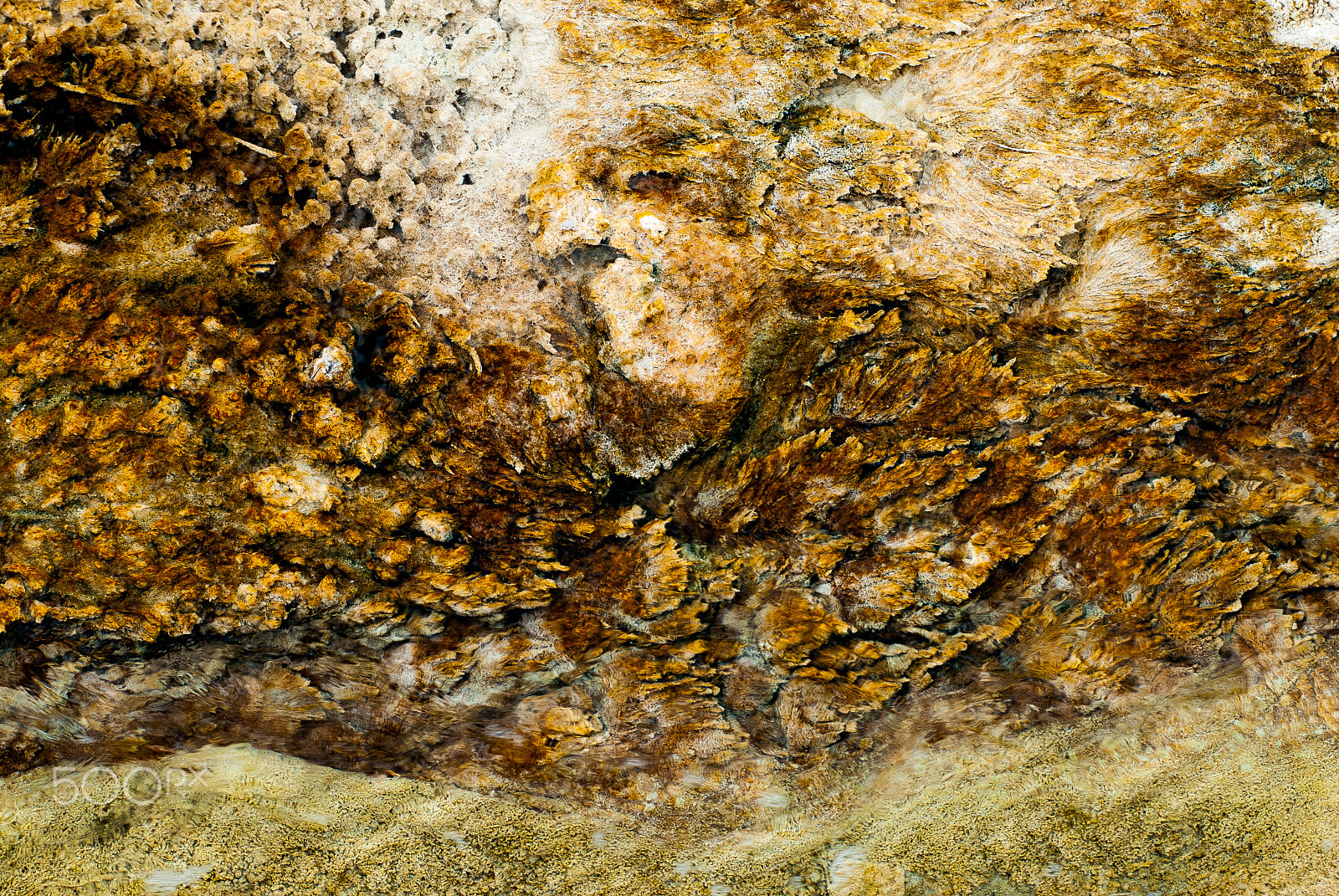 AF Zoom-Nikkor 80-200mm f/2.8 ED sample photo. Mammoth hot springs mineral deposition texture photography