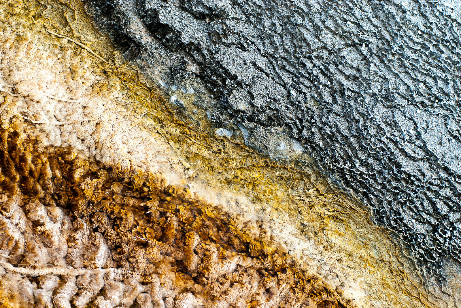 AF Zoom-Nikkor 80-200mm f/2.8 ED sample photo. Mammoth hot springs mineral deposition texture photography