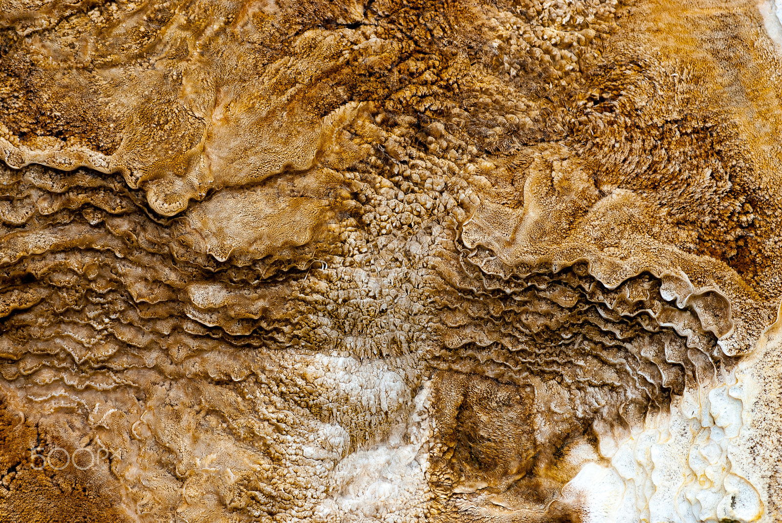 AF Zoom-Nikkor 80-200mm f/2.8 ED sample photo. Mammoth hot springs mineral deposition texture photography