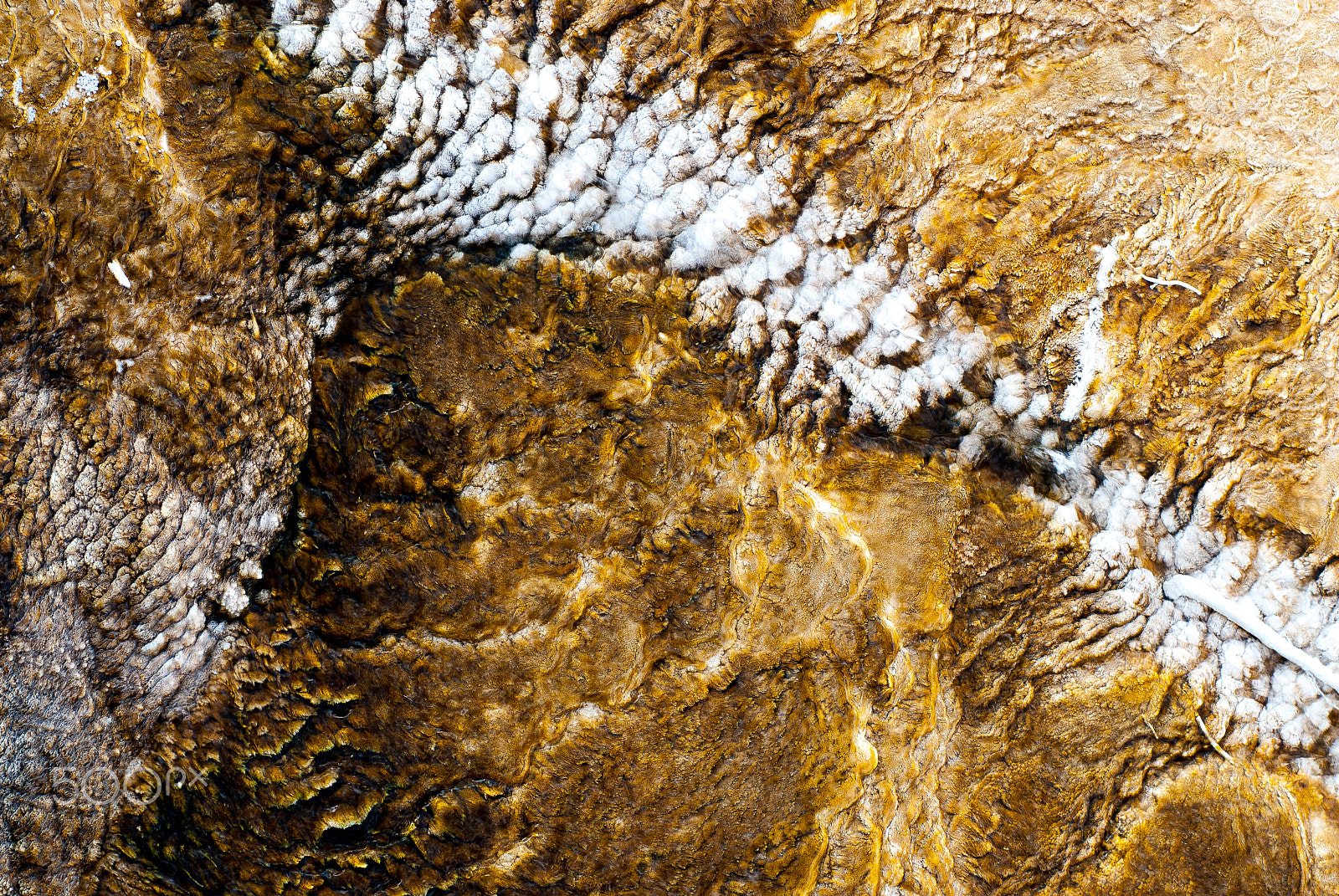 AF Zoom-Nikkor 80-200mm f/2.8 ED sample photo. Mammoth hot springs mineral deposition texture photography