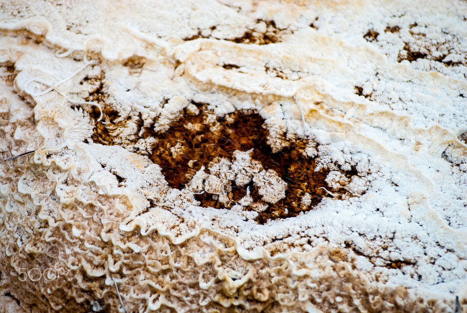 Nikon D200 + AF Zoom-Nikkor 80-200mm f/2.8 ED sample photo. Mammoth hot springs mineral deposition texture photography