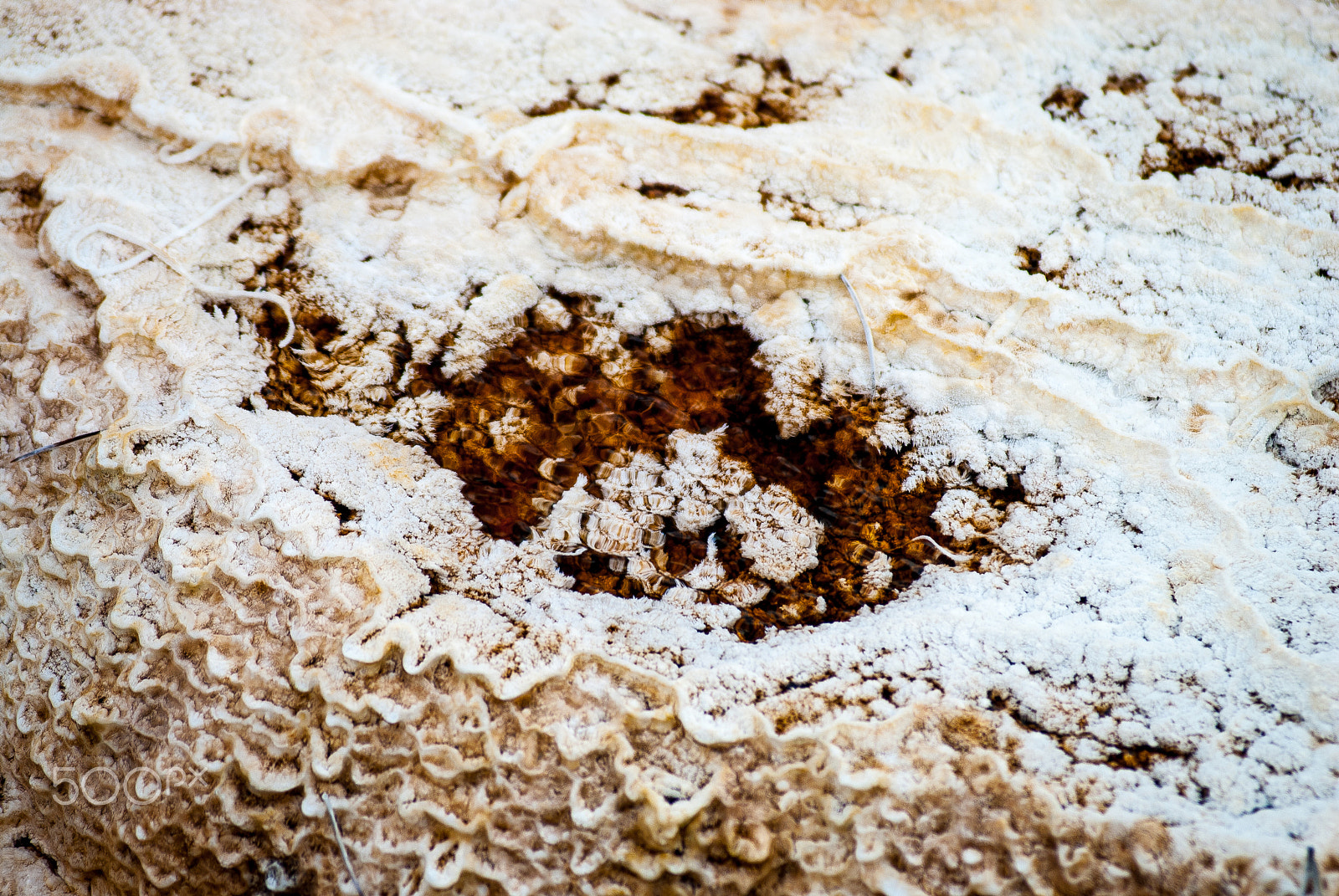 AF Zoom-Nikkor 80-200mm f/2.8 ED sample photo. Mammoth hot springs mineral deposition texture photography
