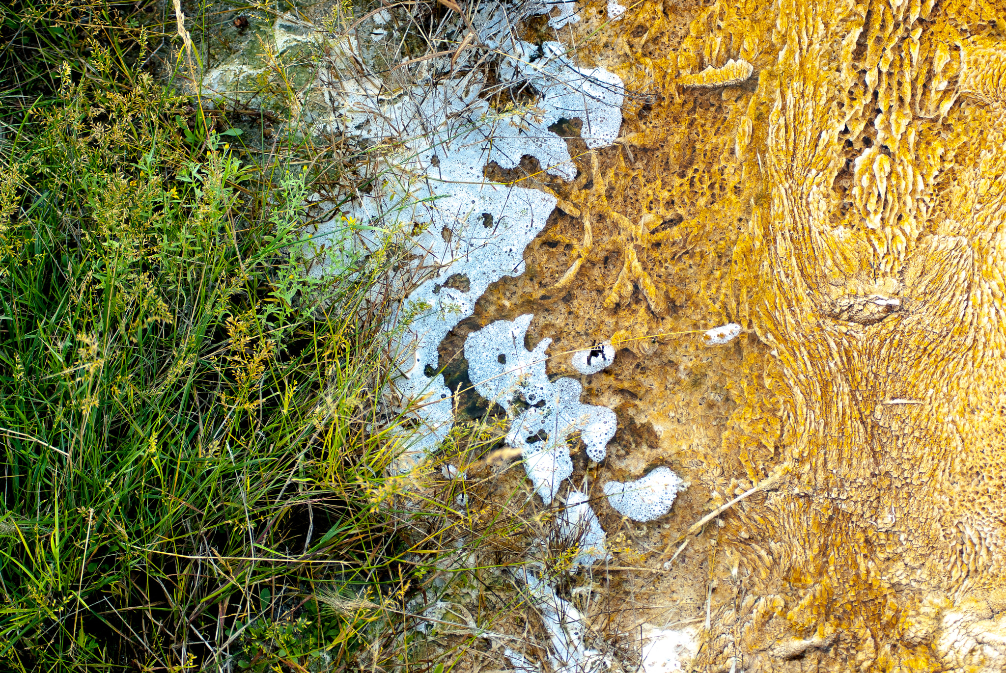AF Zoom-Nikkor 80-200mm f/2.8 ED sample photo. Mamamammoth hot springs mineral deposition texturemoth photography